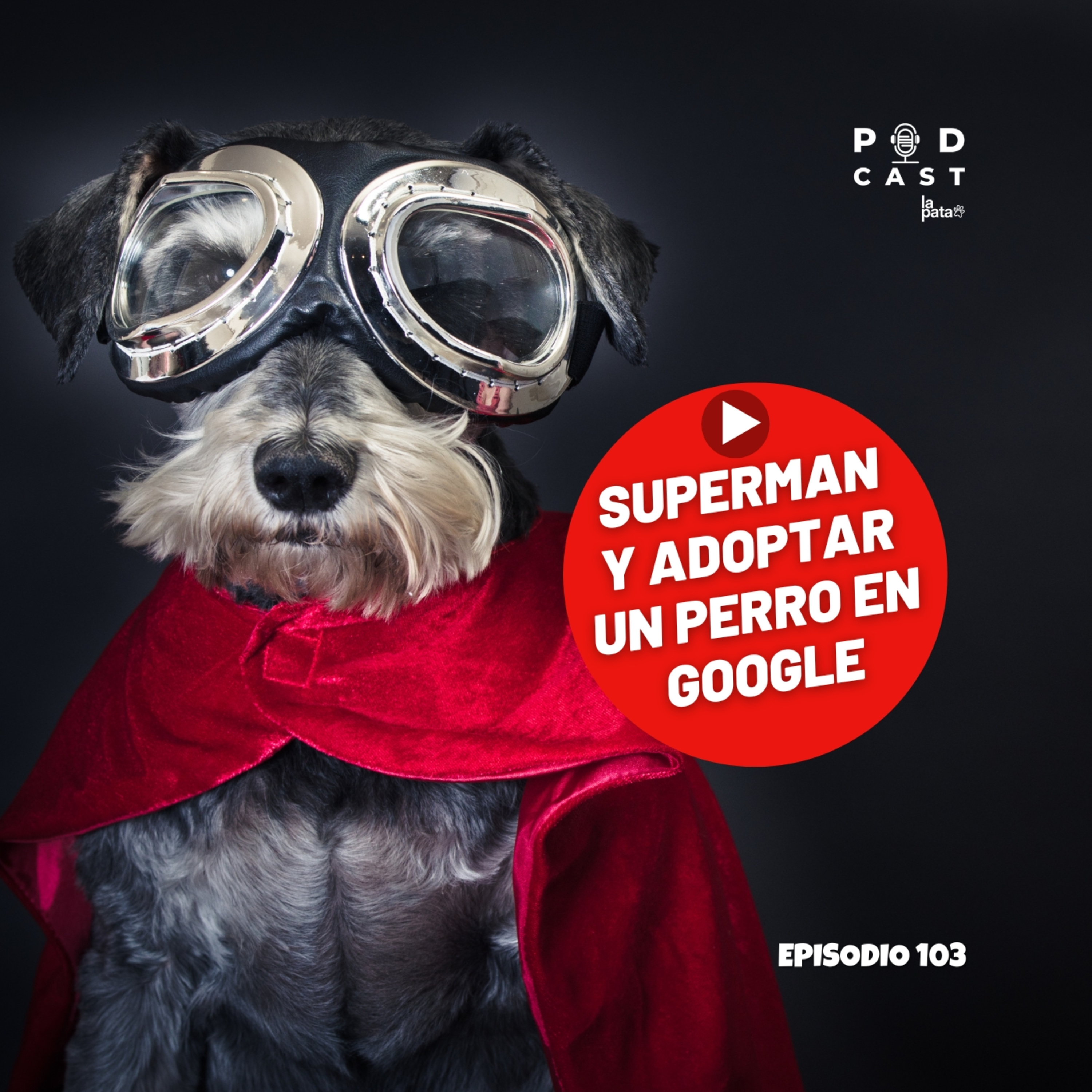 Portada de Podcast La Pata