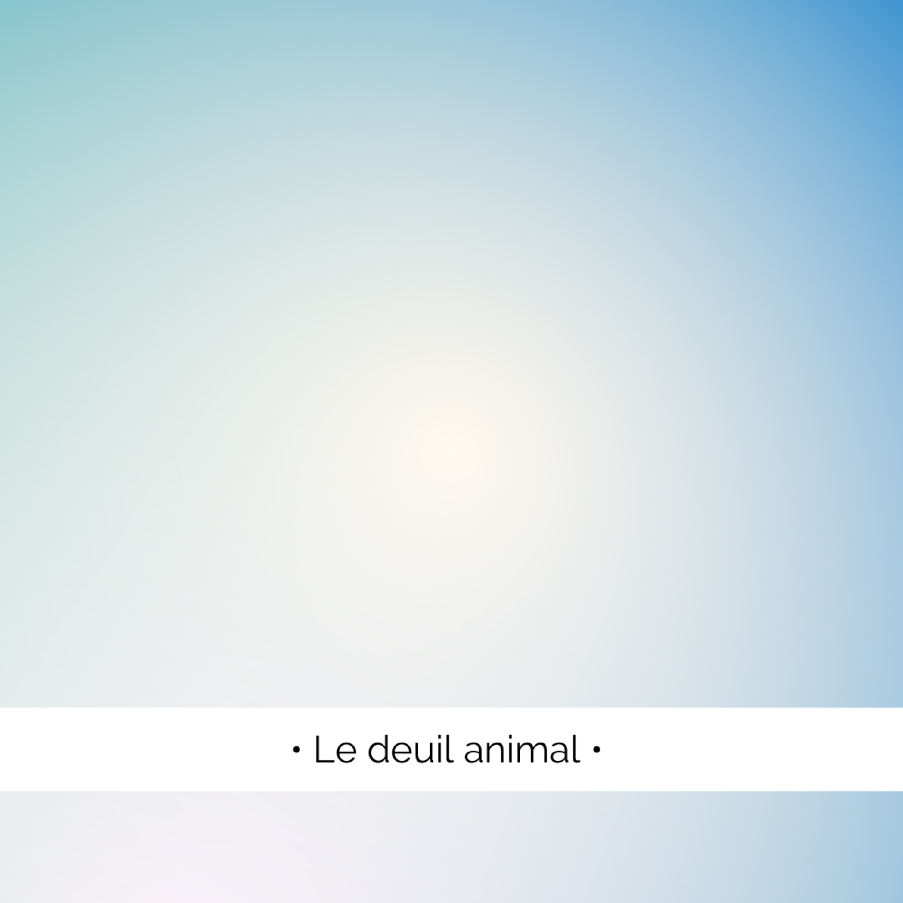 ✨ Le deuil animal, comment le surmonter ?