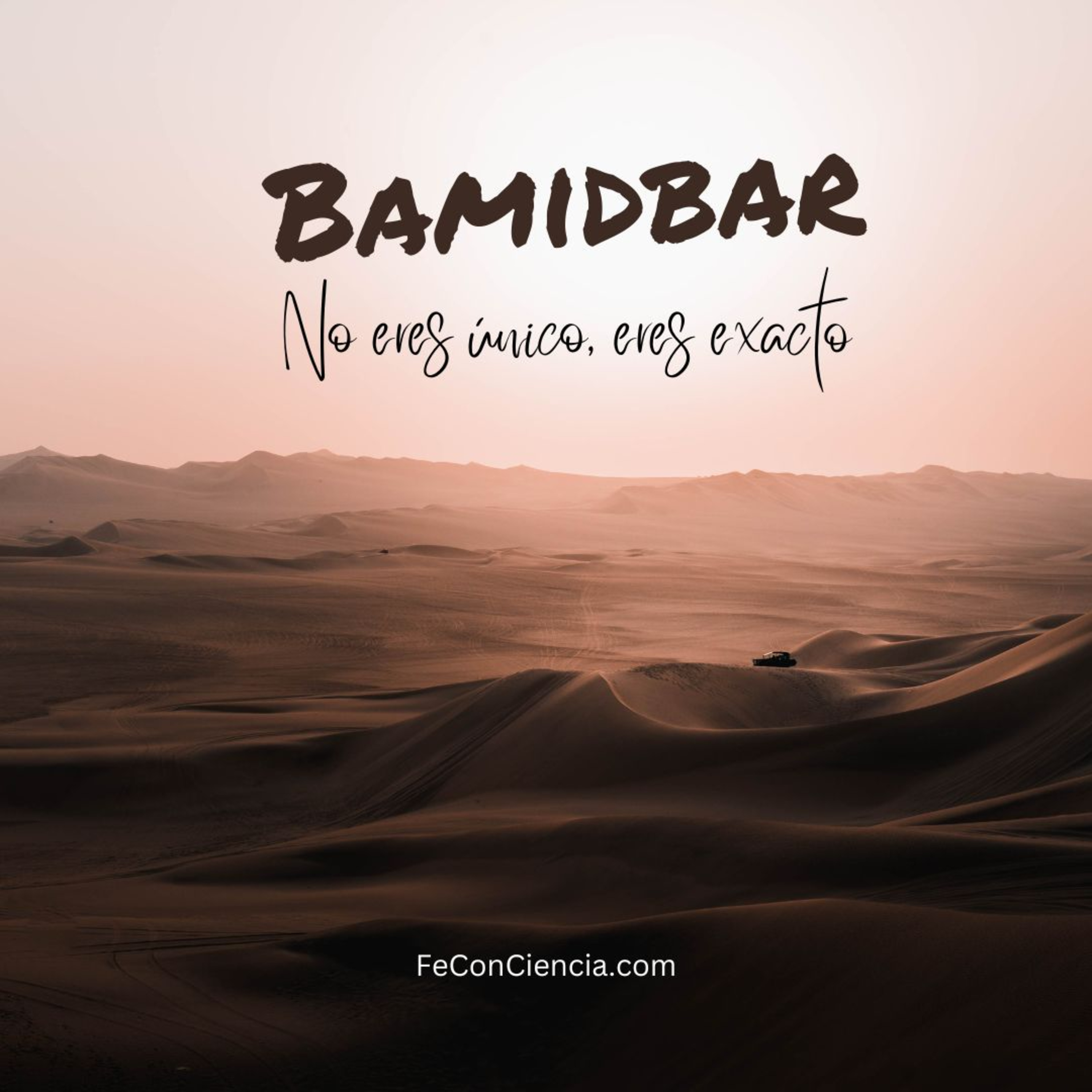 Vives Compitiendo por Ser Especial. Por Eso Te Sientes un Número | Bamidbar