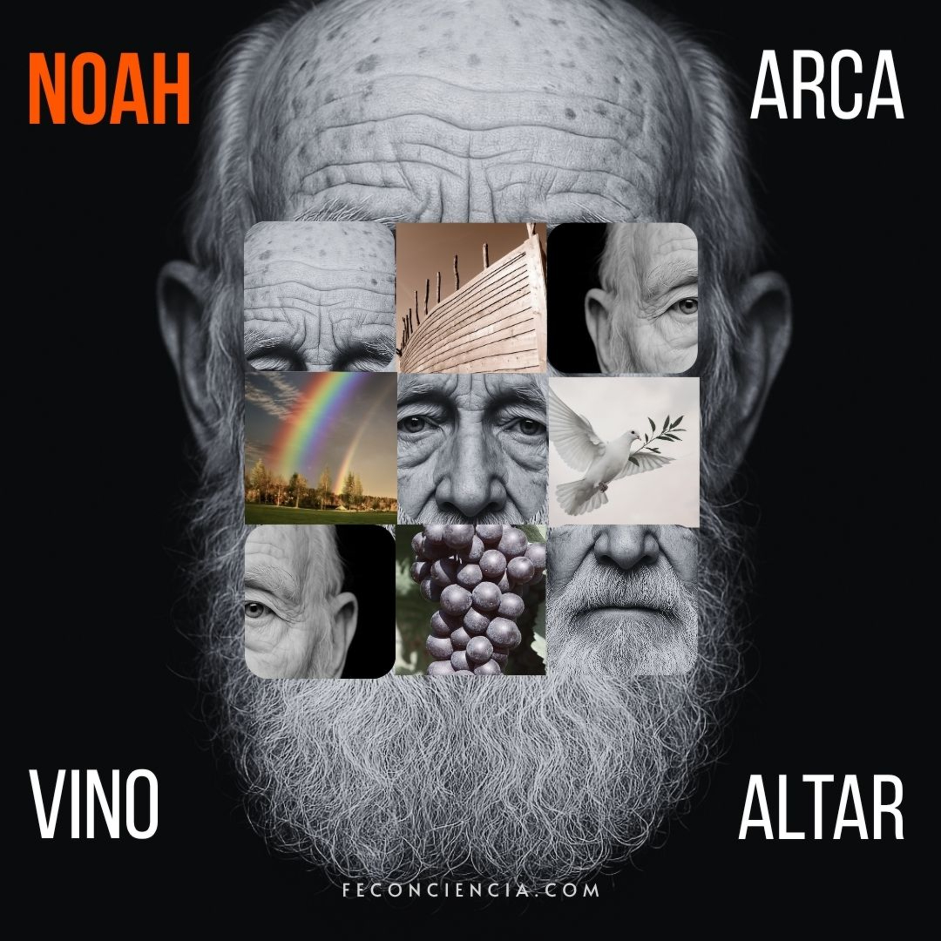 Noaj: ¿Arca, Vino o Altar? — El Diluvio, la Supervivencia y la Psicología del Renacimiento | Sabiduría Judía
