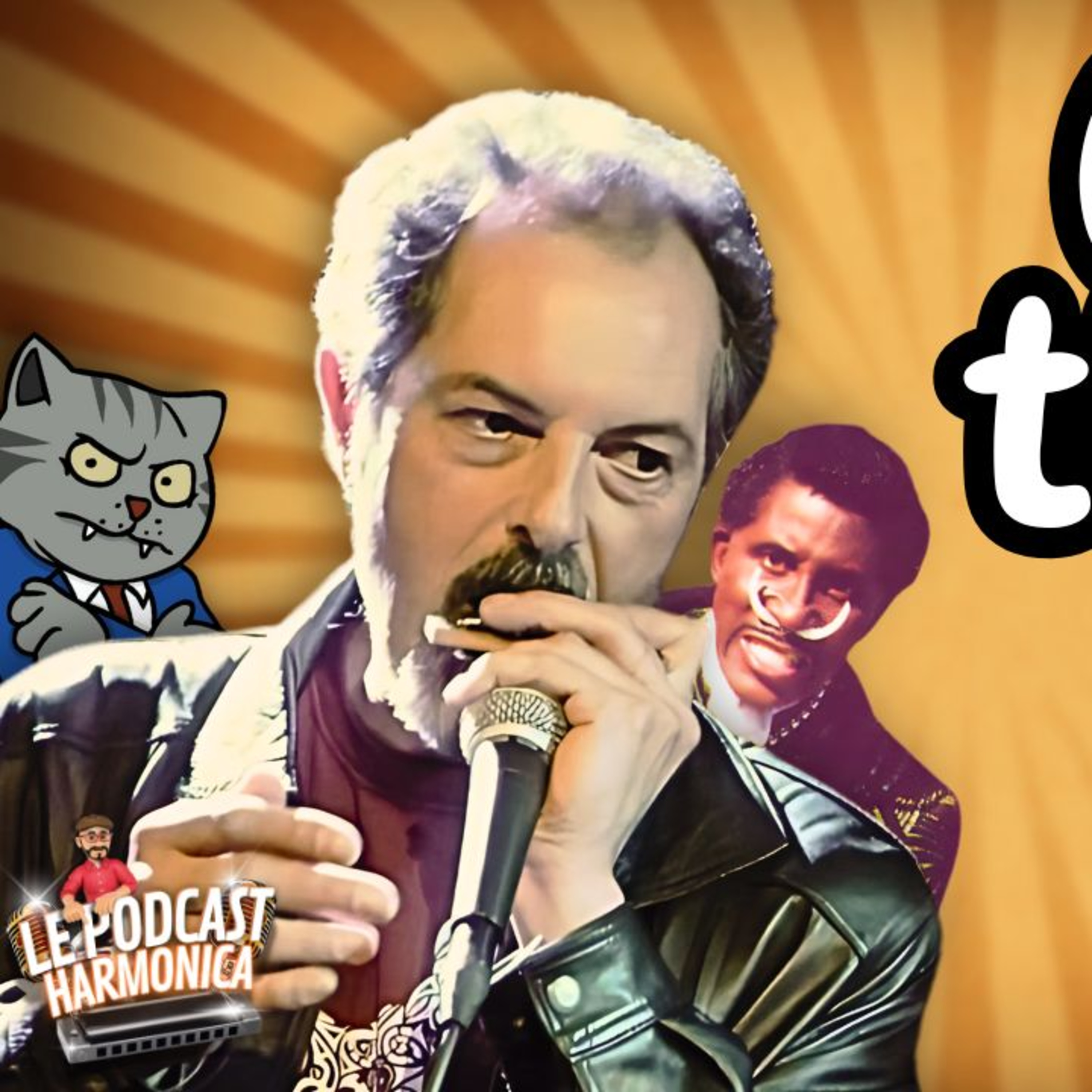 #christhecat #harmonica #harmoniciste episode artwork