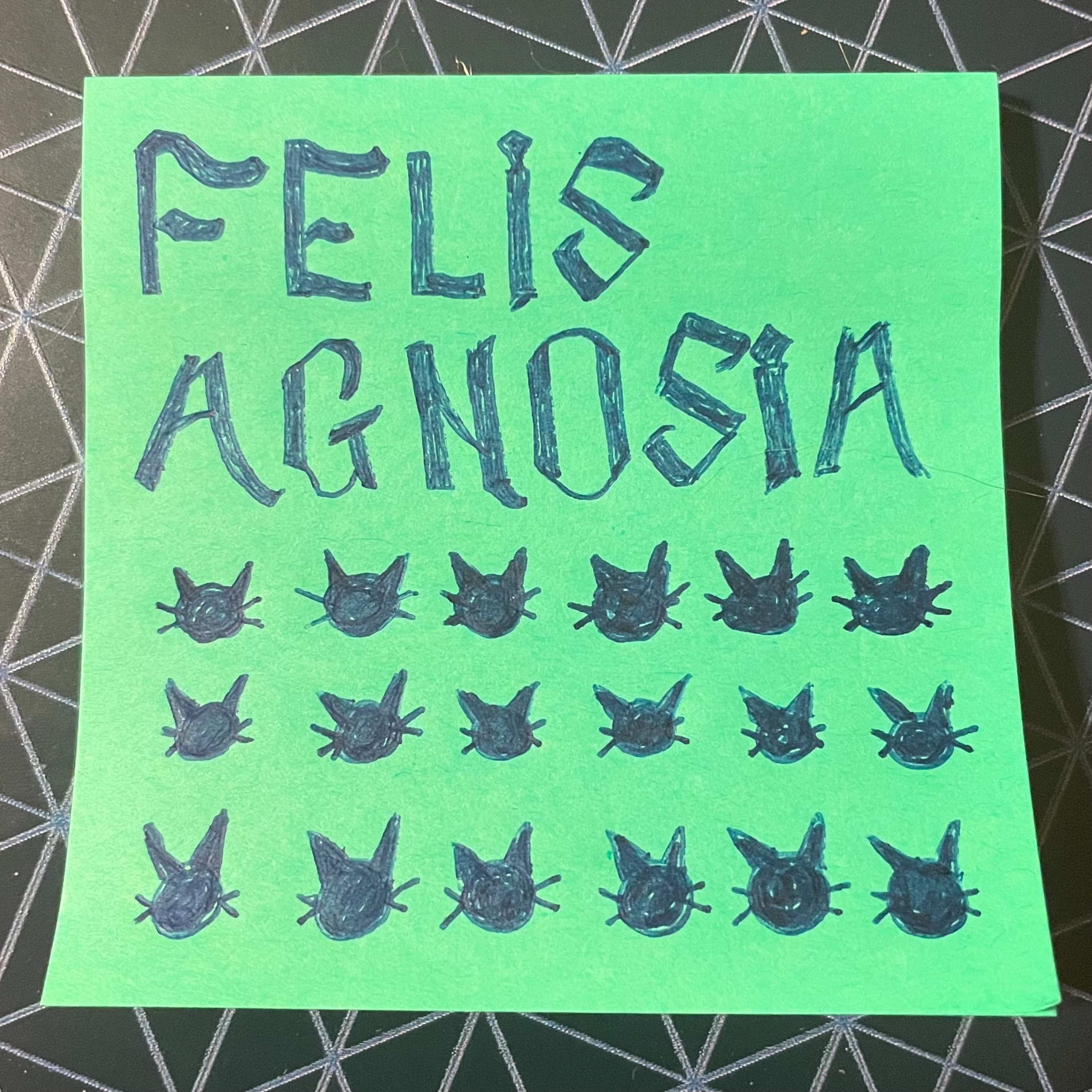 Ep. 30 | Felis Agnosia