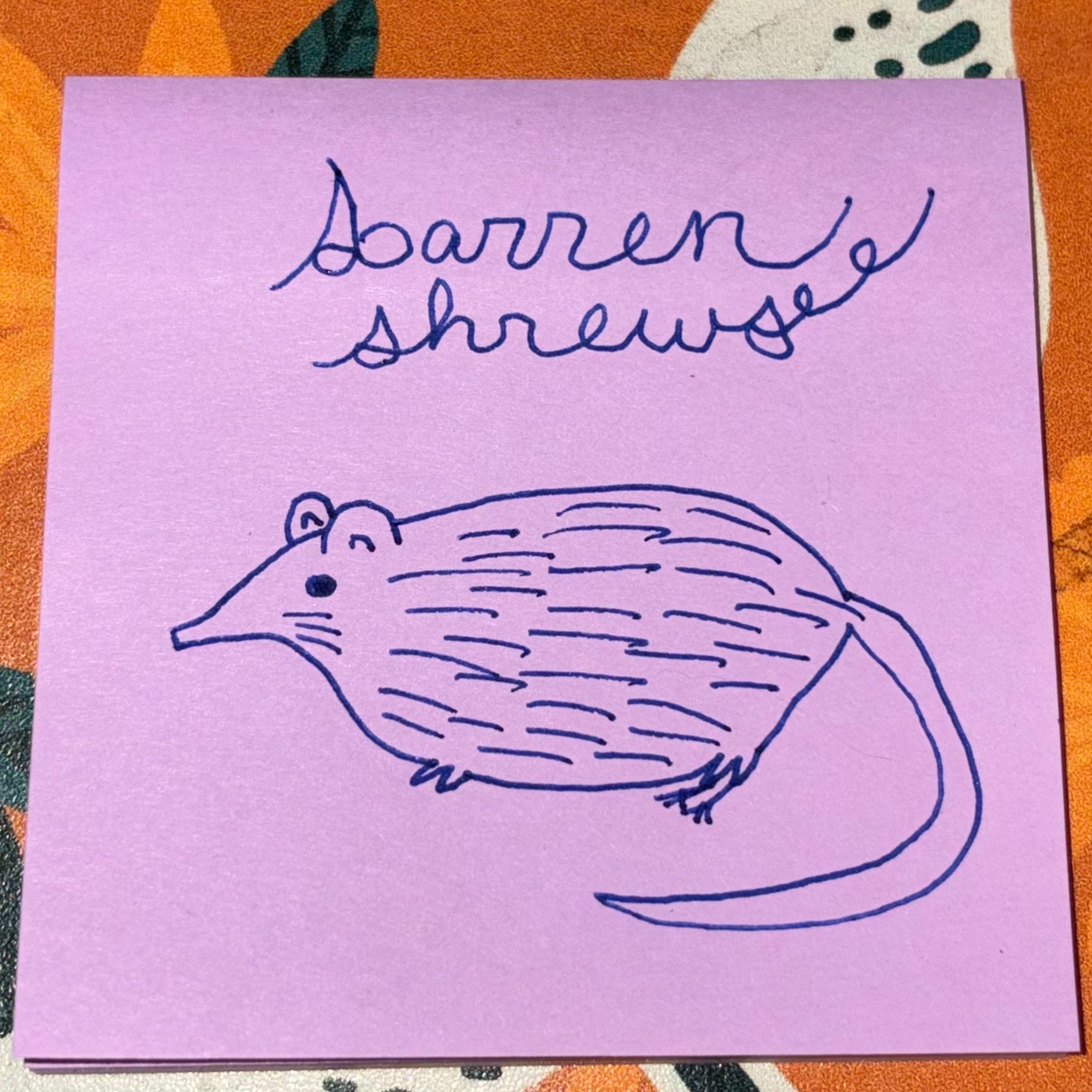 Ep. 77 | Barren Shrews episode artwork