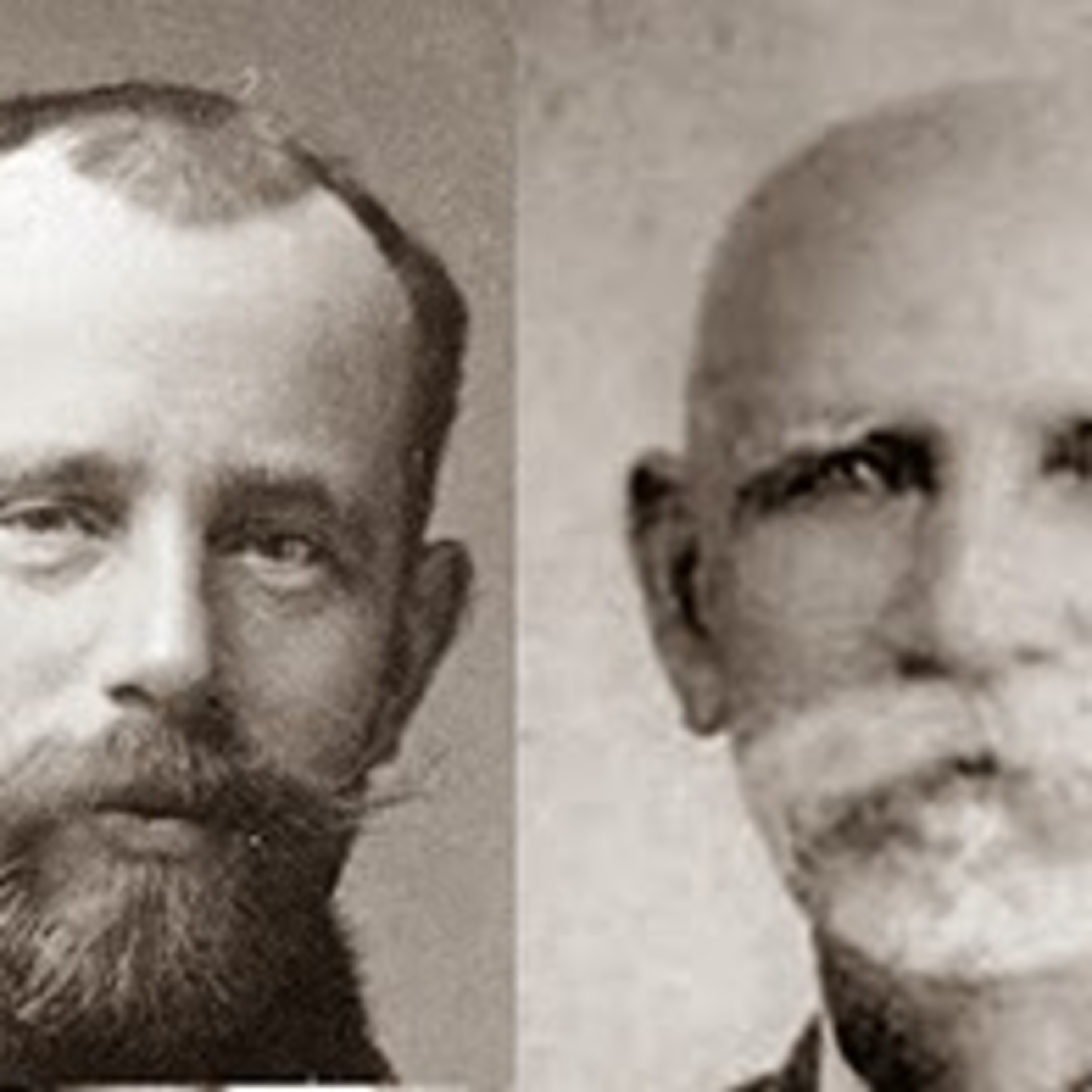 Contando la Historia