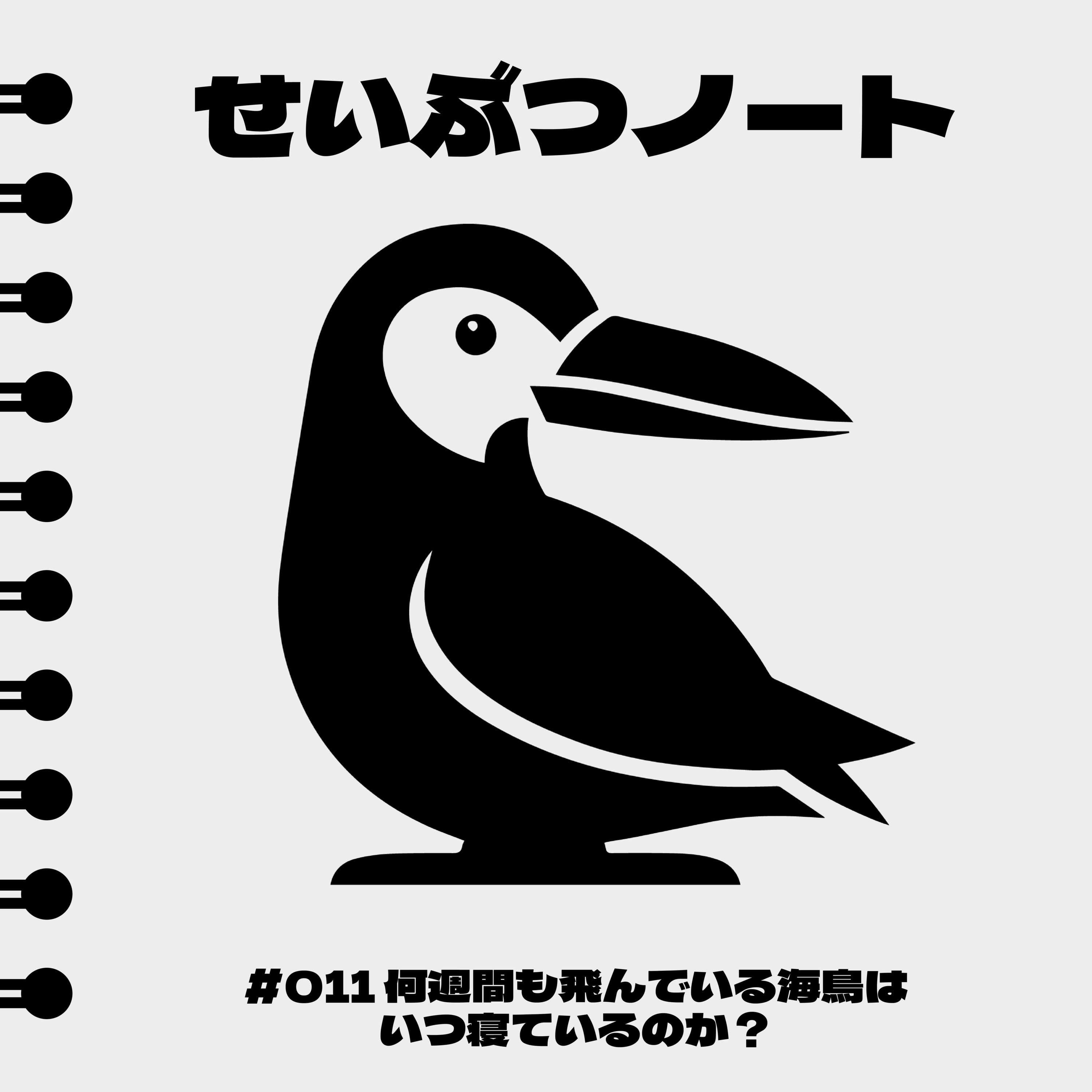 #011 何週間も飛んでいる海鳥はいつ寝ているのか？ episode artwork