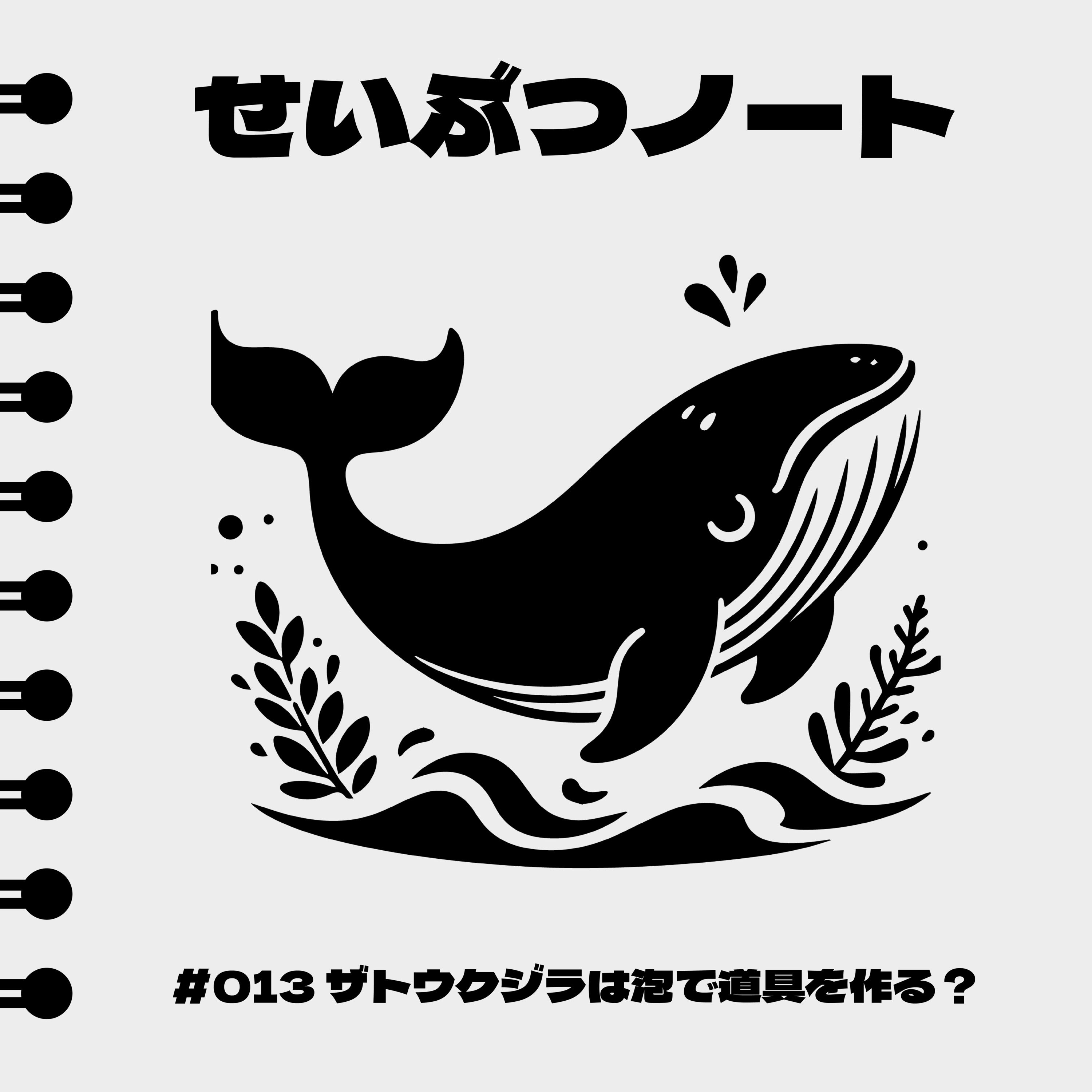 #013 ザトウクジラは泡で道具を作る？ episode artwork