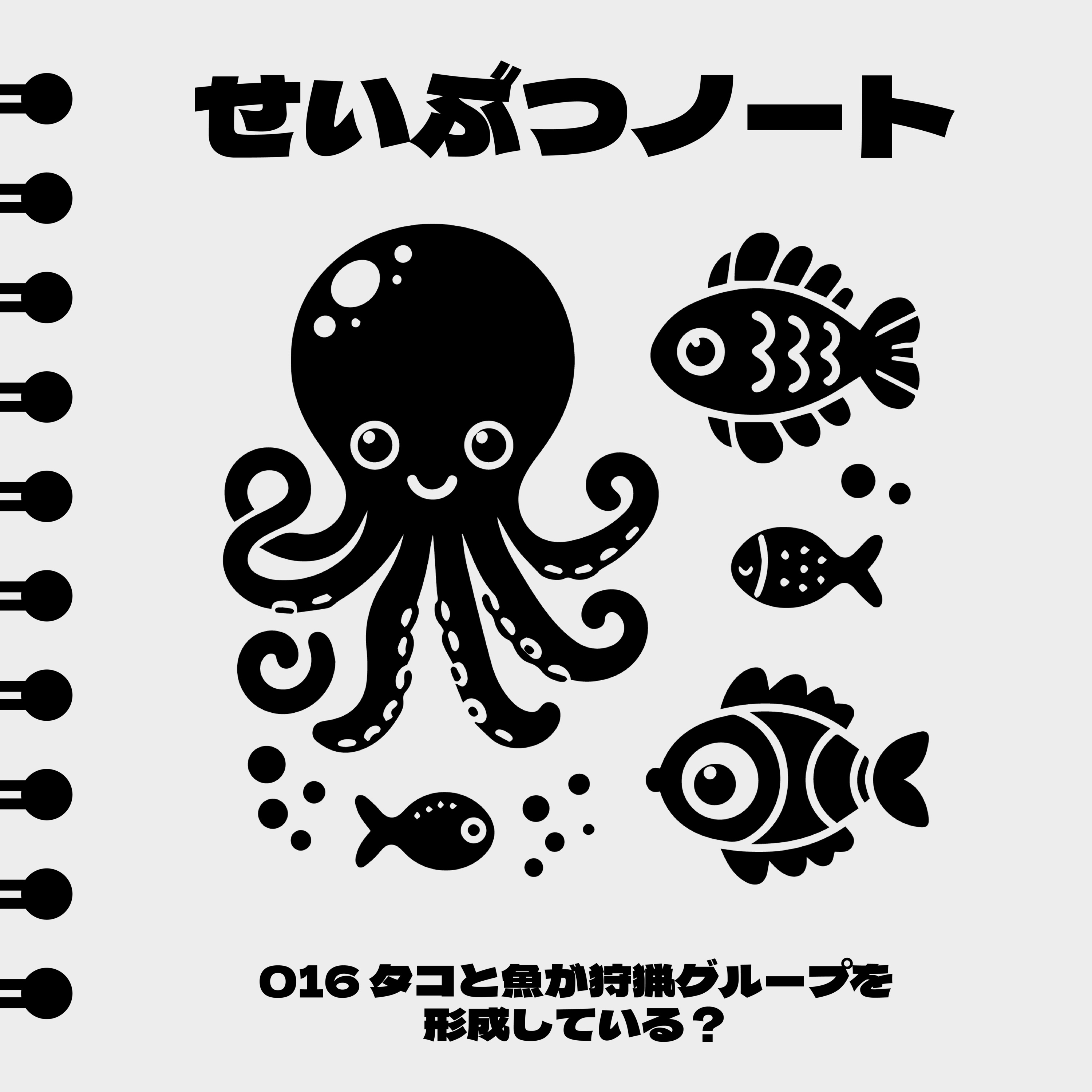 #016 タコと魚が狩猟グループを形成している？ episode artwork