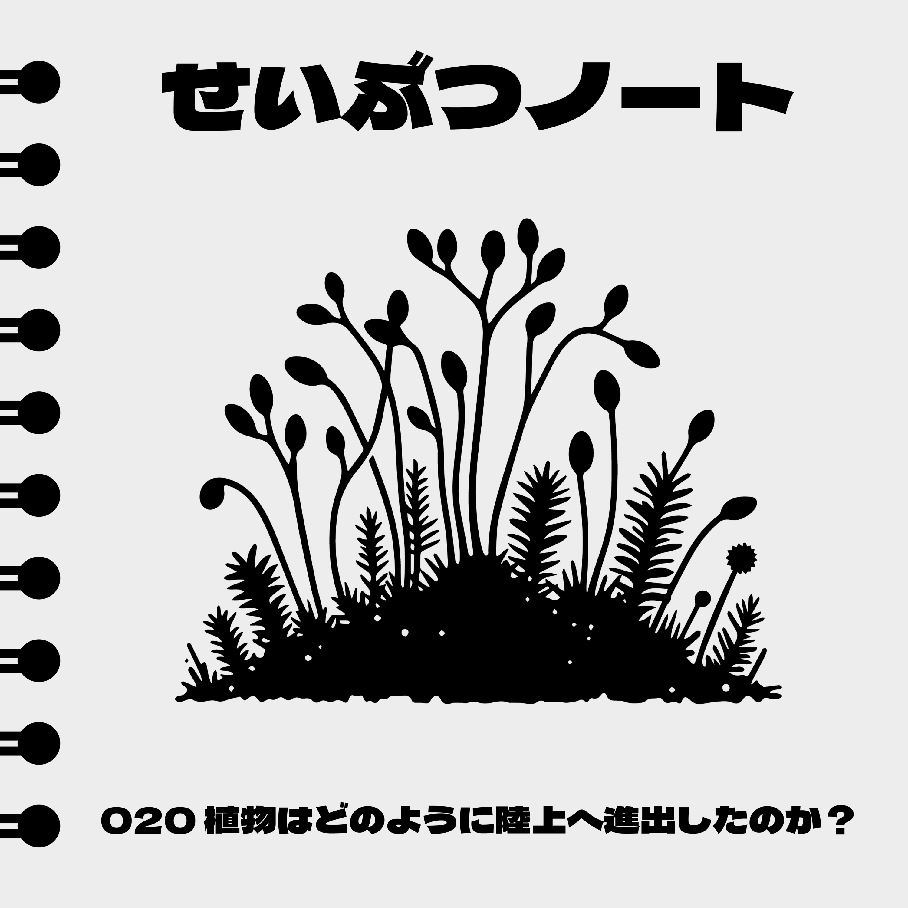 #020 植物はどのように陸上へ進出したのか？ episode artwork