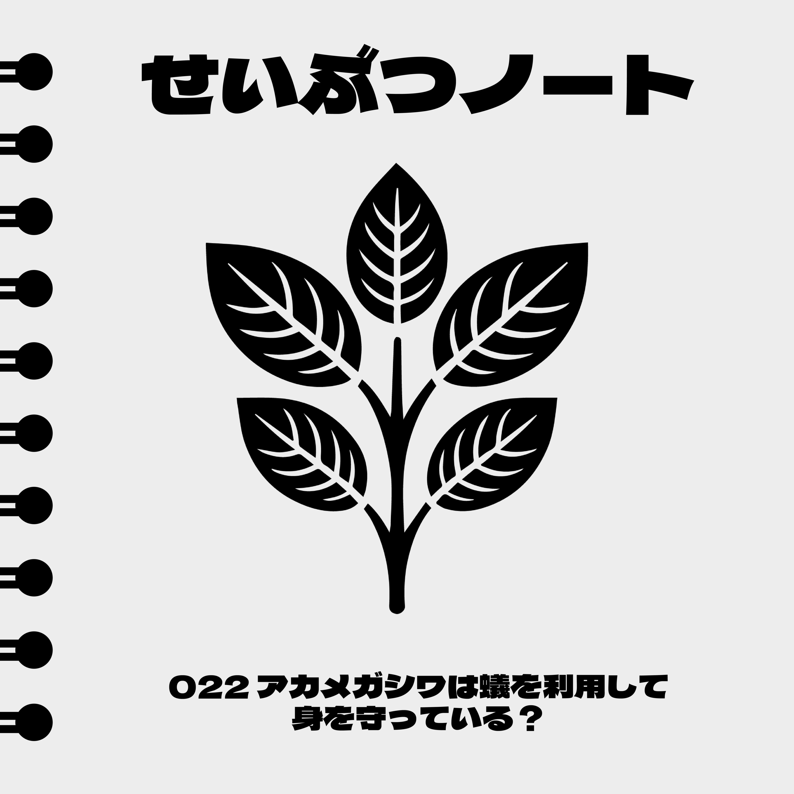 #022 アカメガシワは蟻を利用して身を守っている？ episode artwork