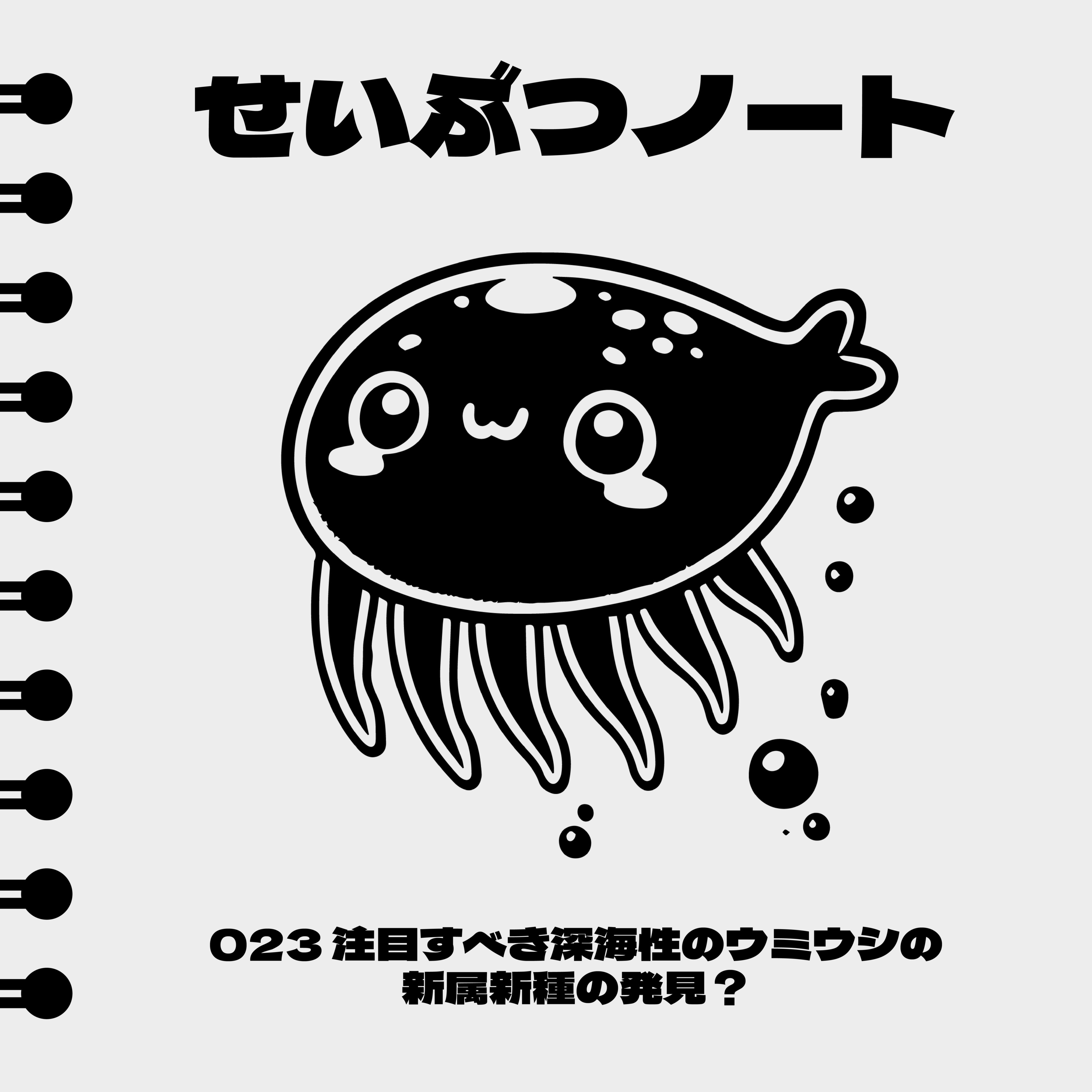 #023 注目すべき深海性ウミウシの新属新種の発見？ episode artwork