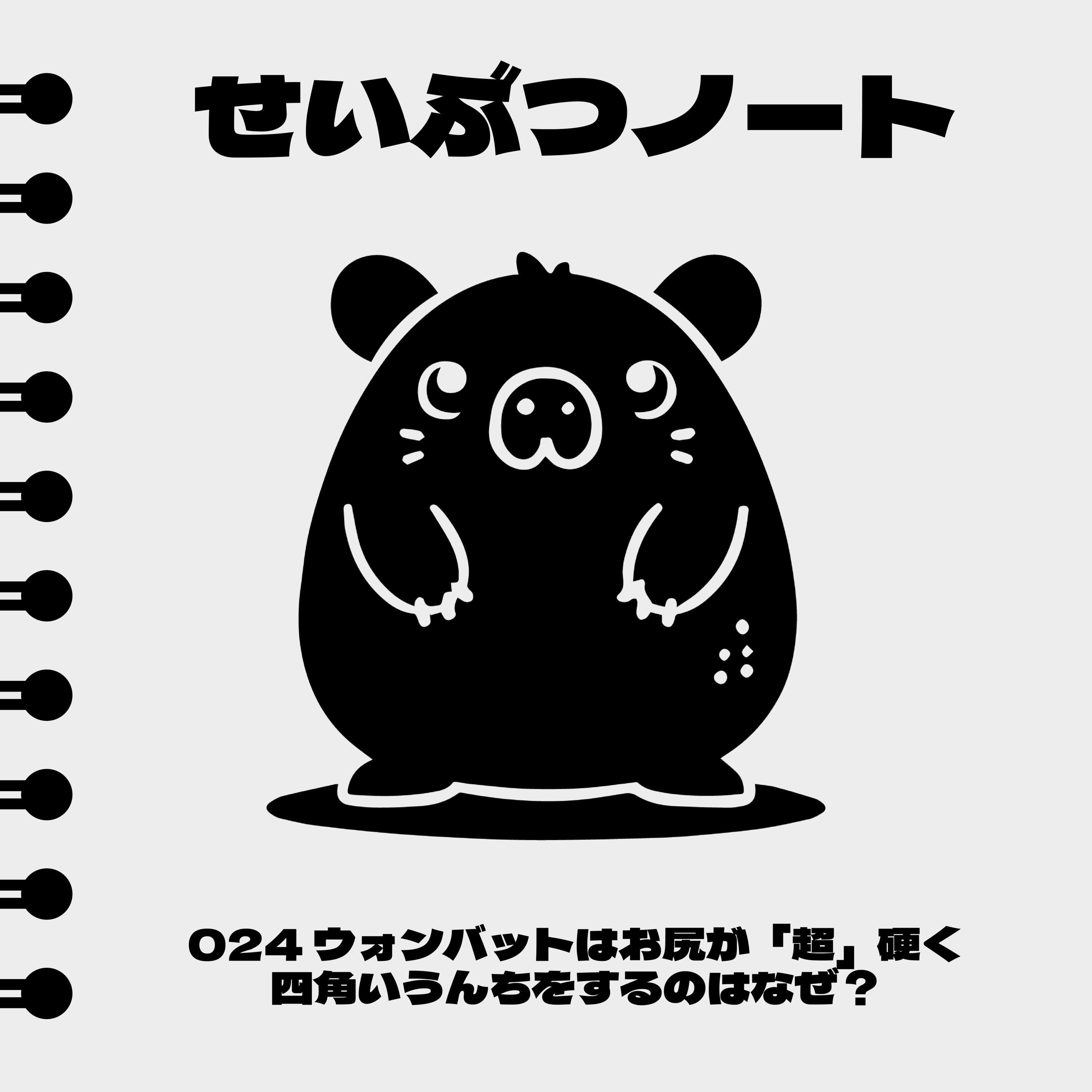#024 ウォンバットはお尻が「超」硬く、四角いうんちをするのはなぜ？ episode artwork