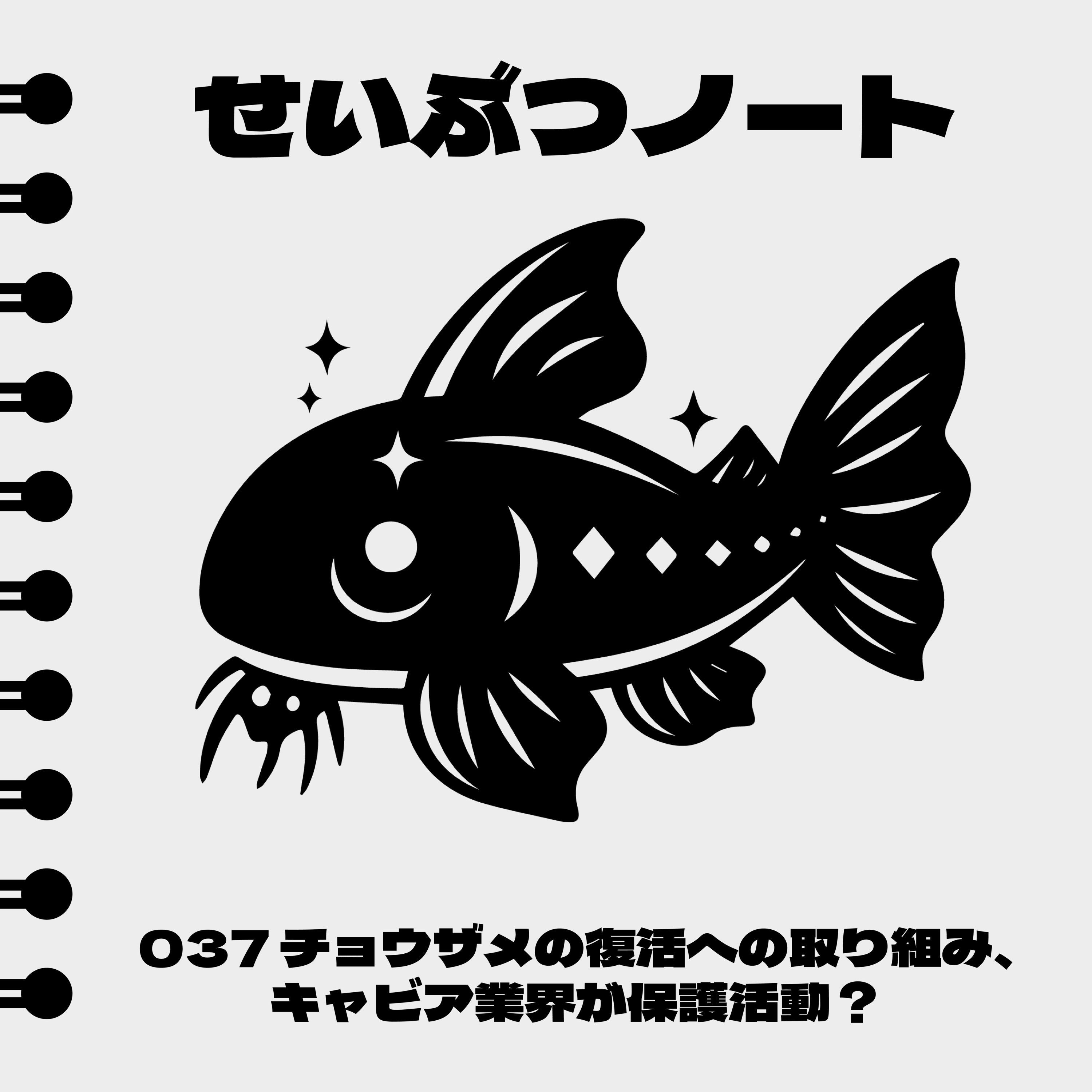 #037 チョウザメの復活への取り組み、キャビア業界が保護活動? episode artwork