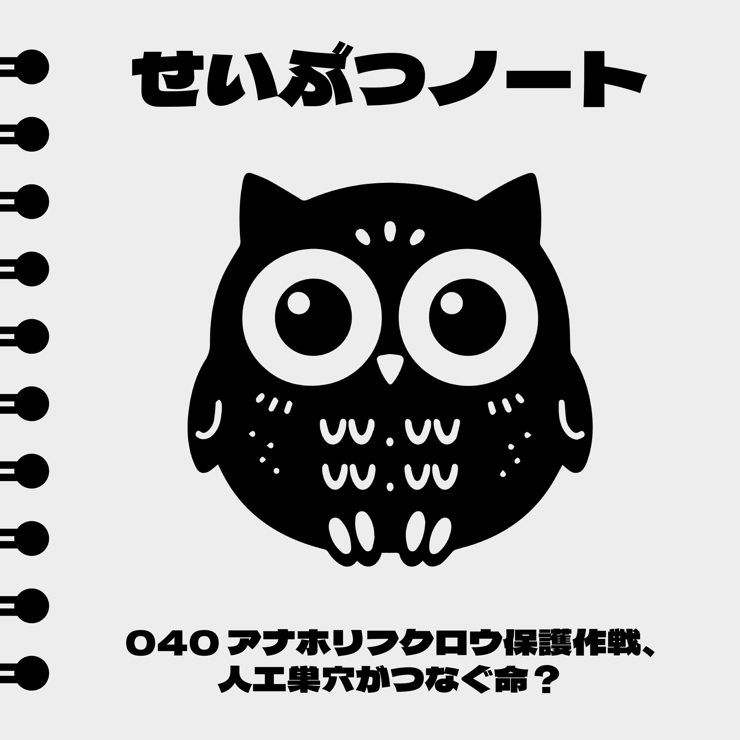 #040 アナホリフクロウ保護作戦、人工巣穴がつなぐ命? episode artwork