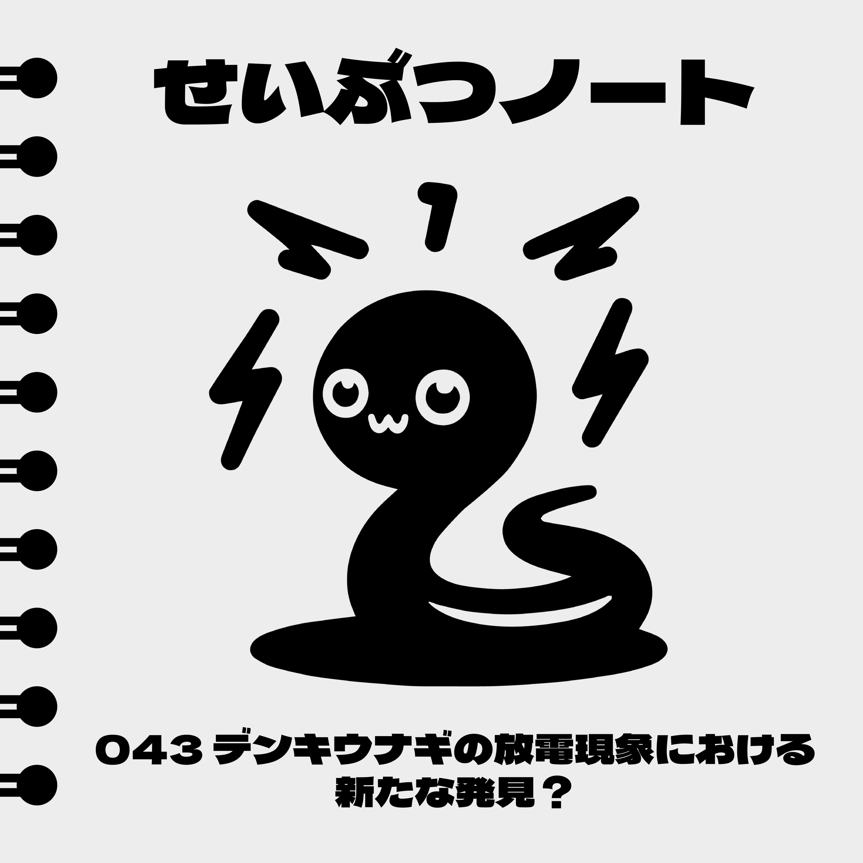 #043 デンキウナギの放電現象における新たな発見? episode artwork