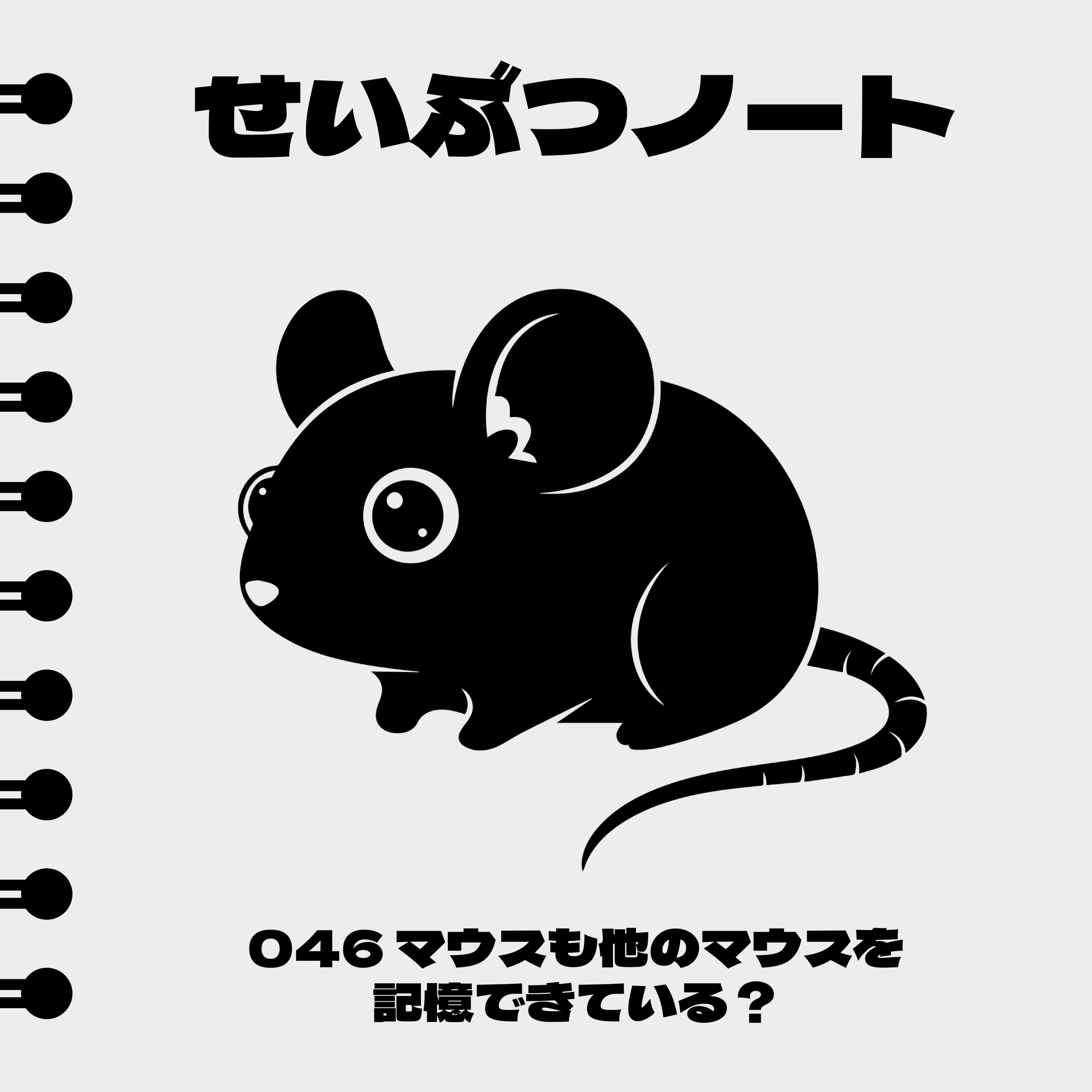 #046 マウスも他のマウスを記憶できている? episode artwork