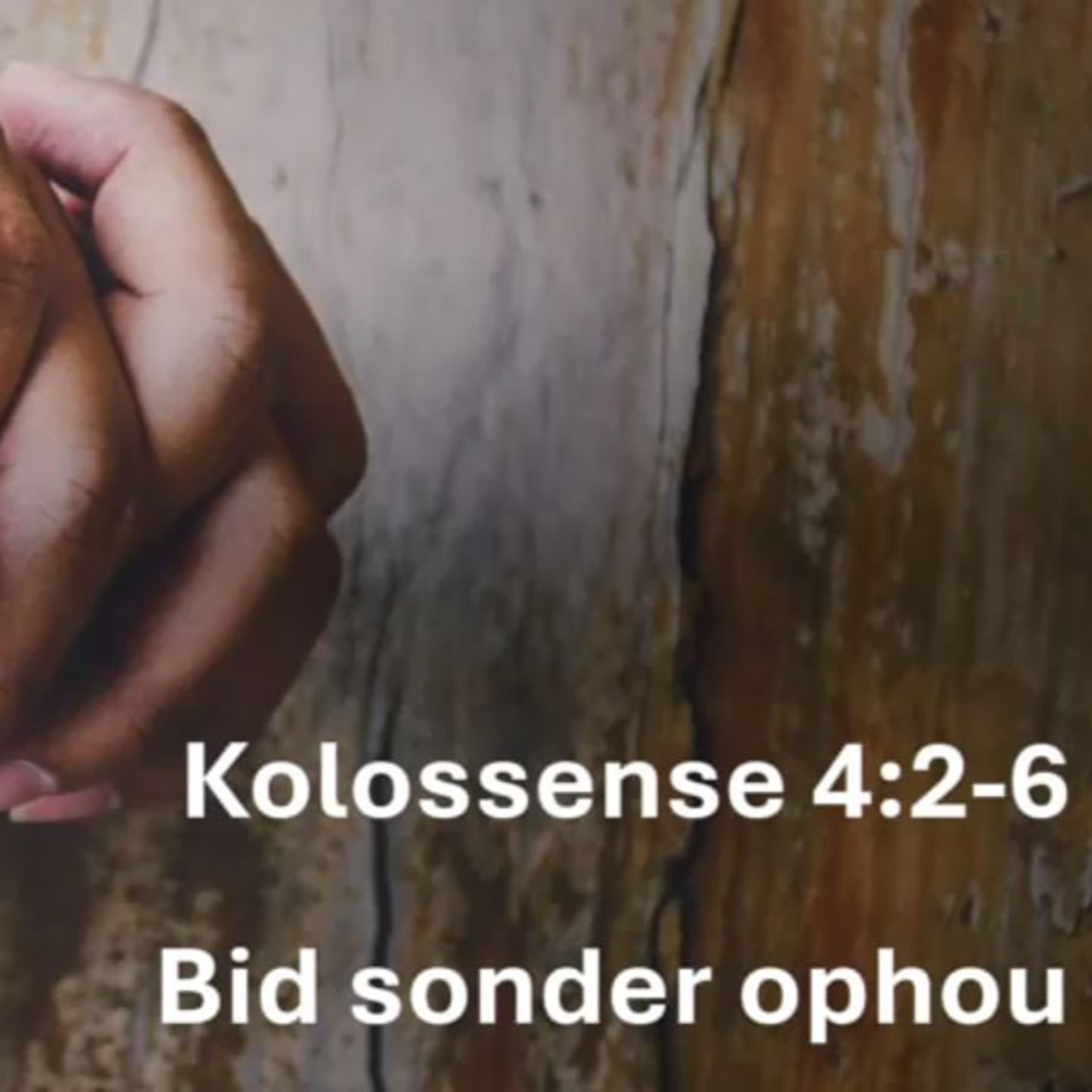 Bid sonder ophou episode artwork