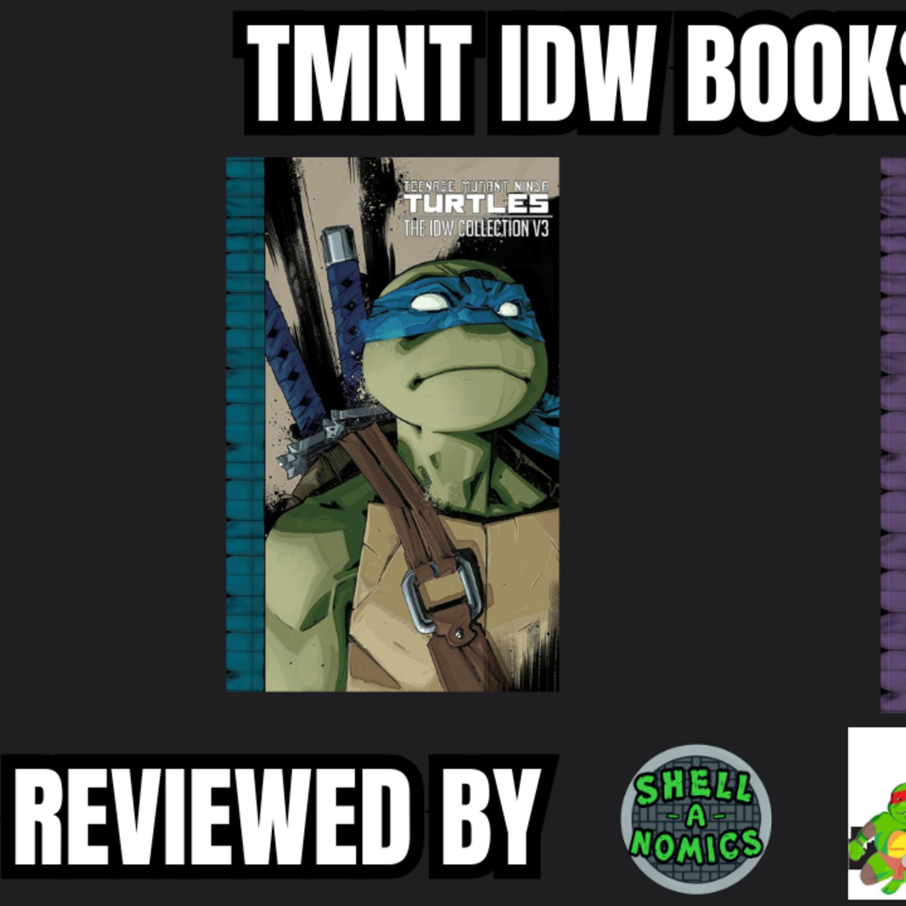 IDW Collection TMNT Books 3 and Review episode artwork