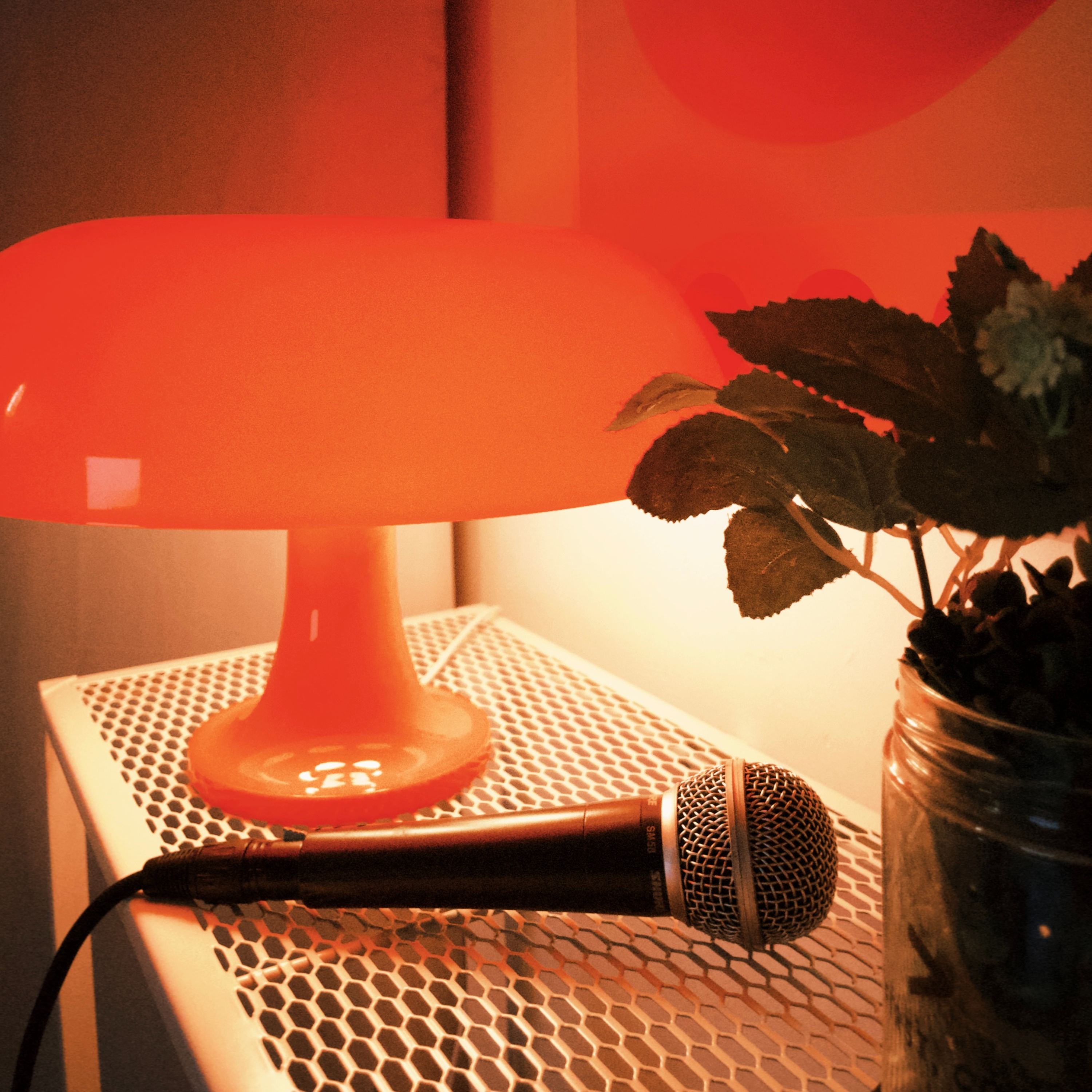 orange hue radio