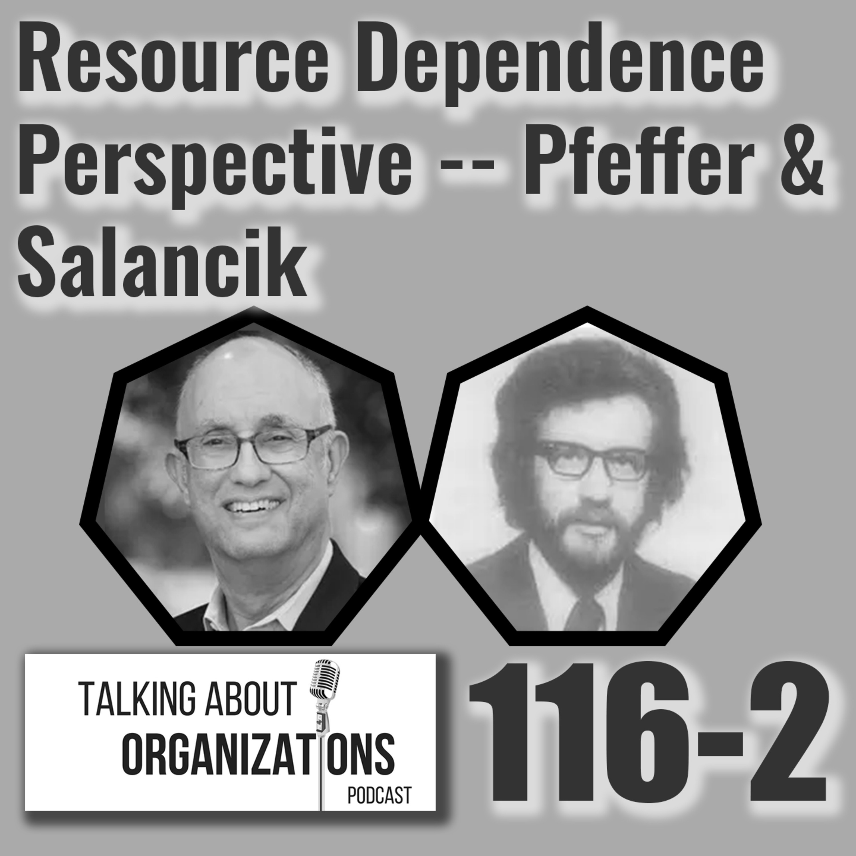 116: Resource Dependence Perspective -- Pfeffer & Salancik (Part 2)