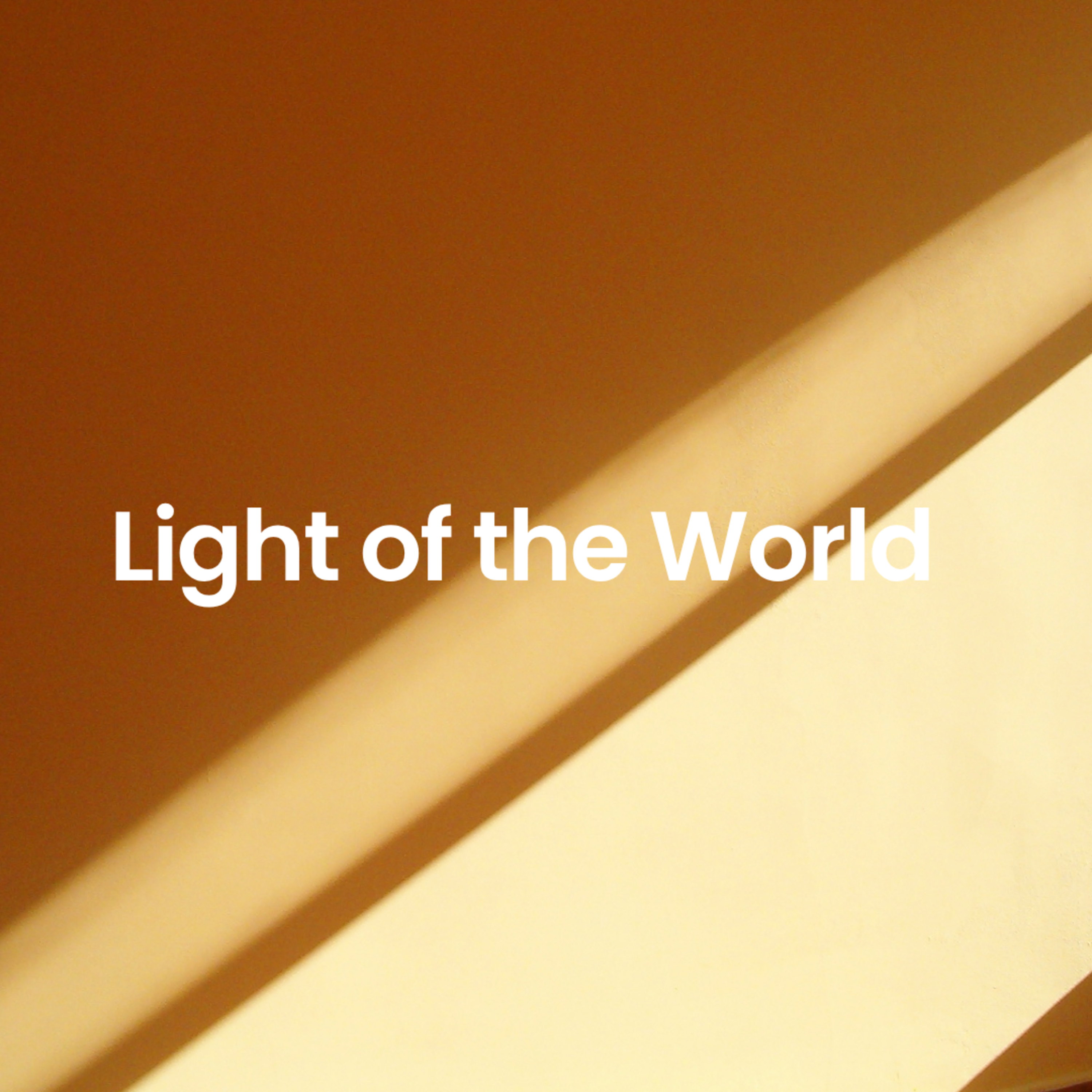 Series Break: Light of the World - Donny Fisher episode artwork