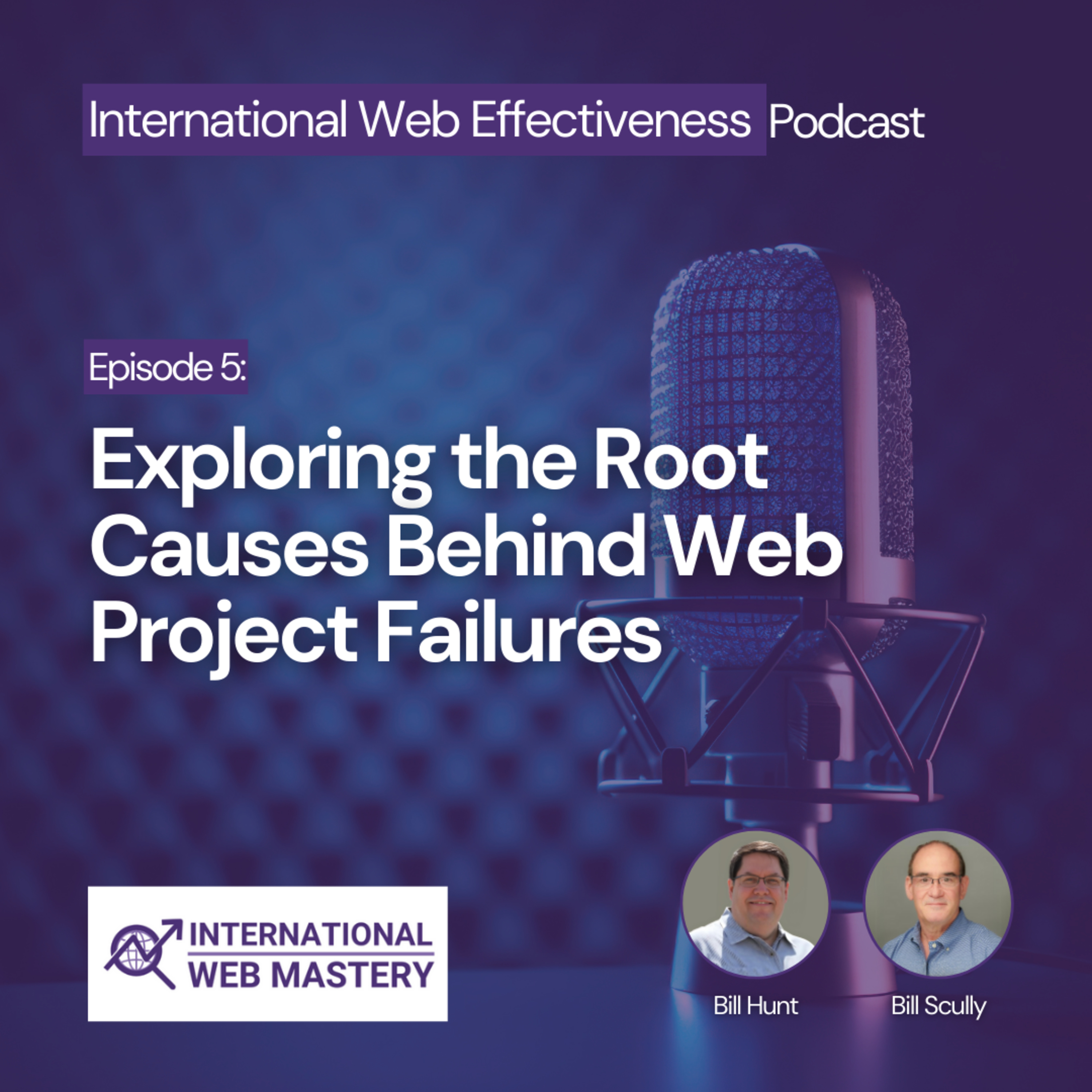 International Web Effectiveness Podcast