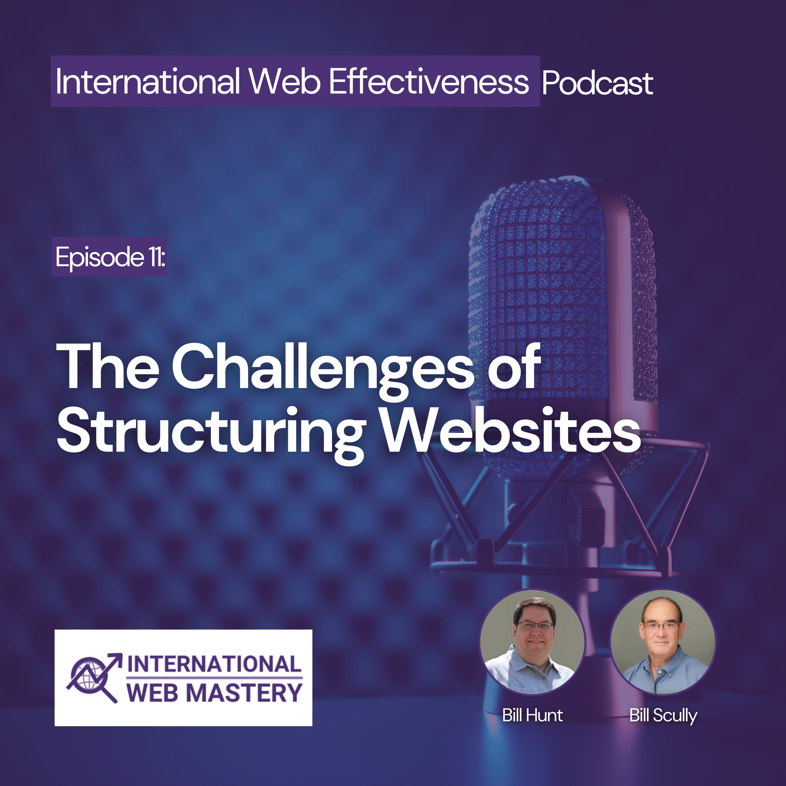 International Web Effectiveness Podcast