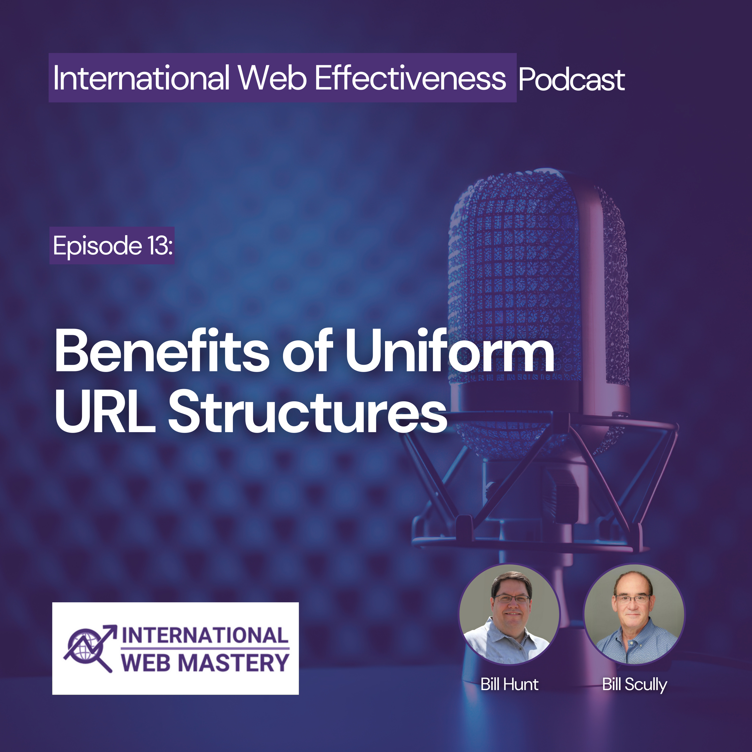 International Web Effectiveness Podcast
