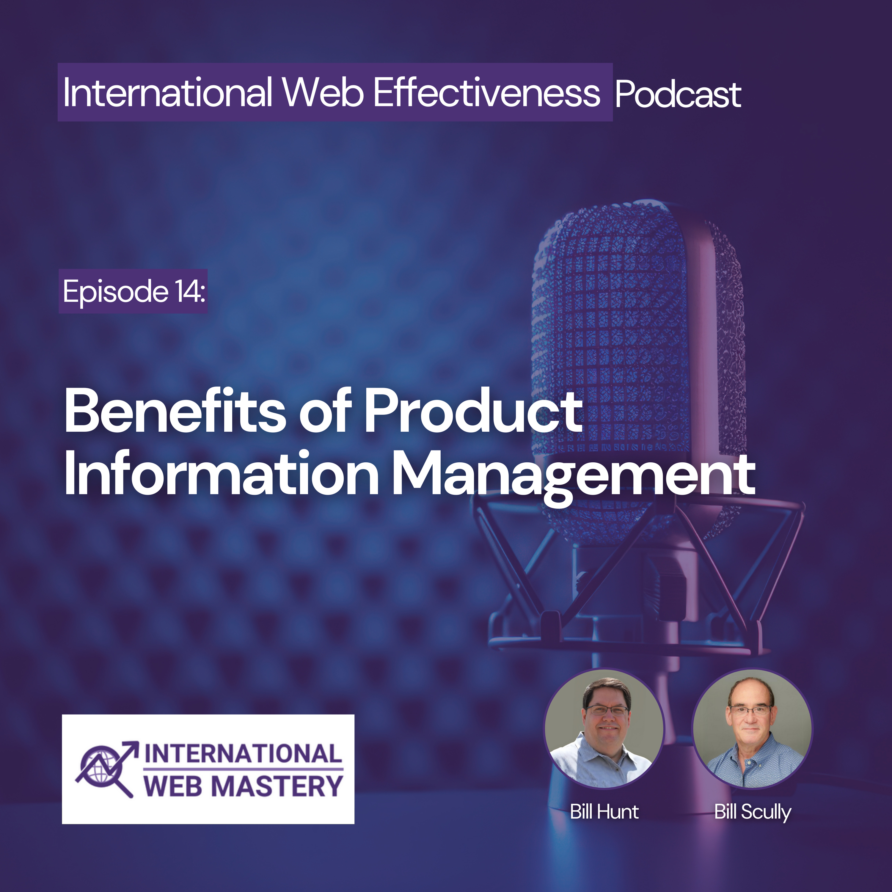 International Web Effectiveness Podcast