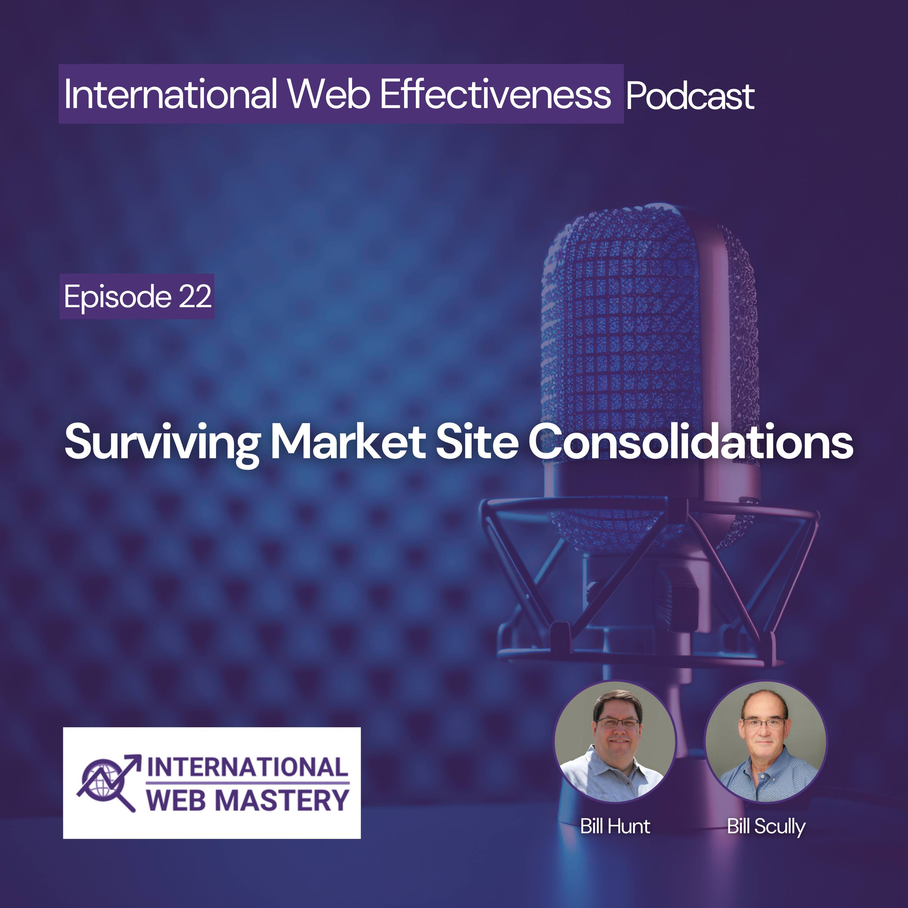 International Web Effectiveness Podcast