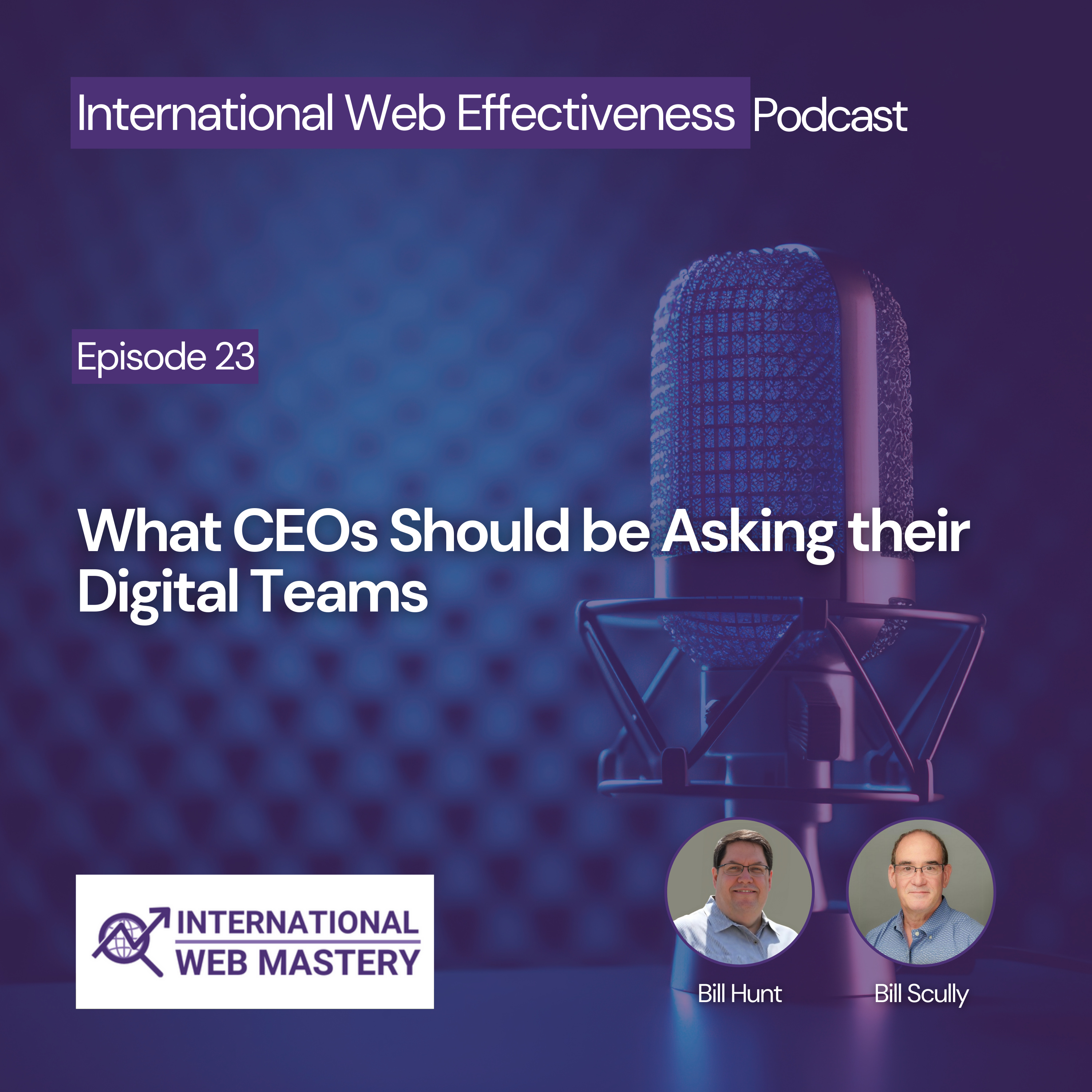 International Web Effectiveness Podcast