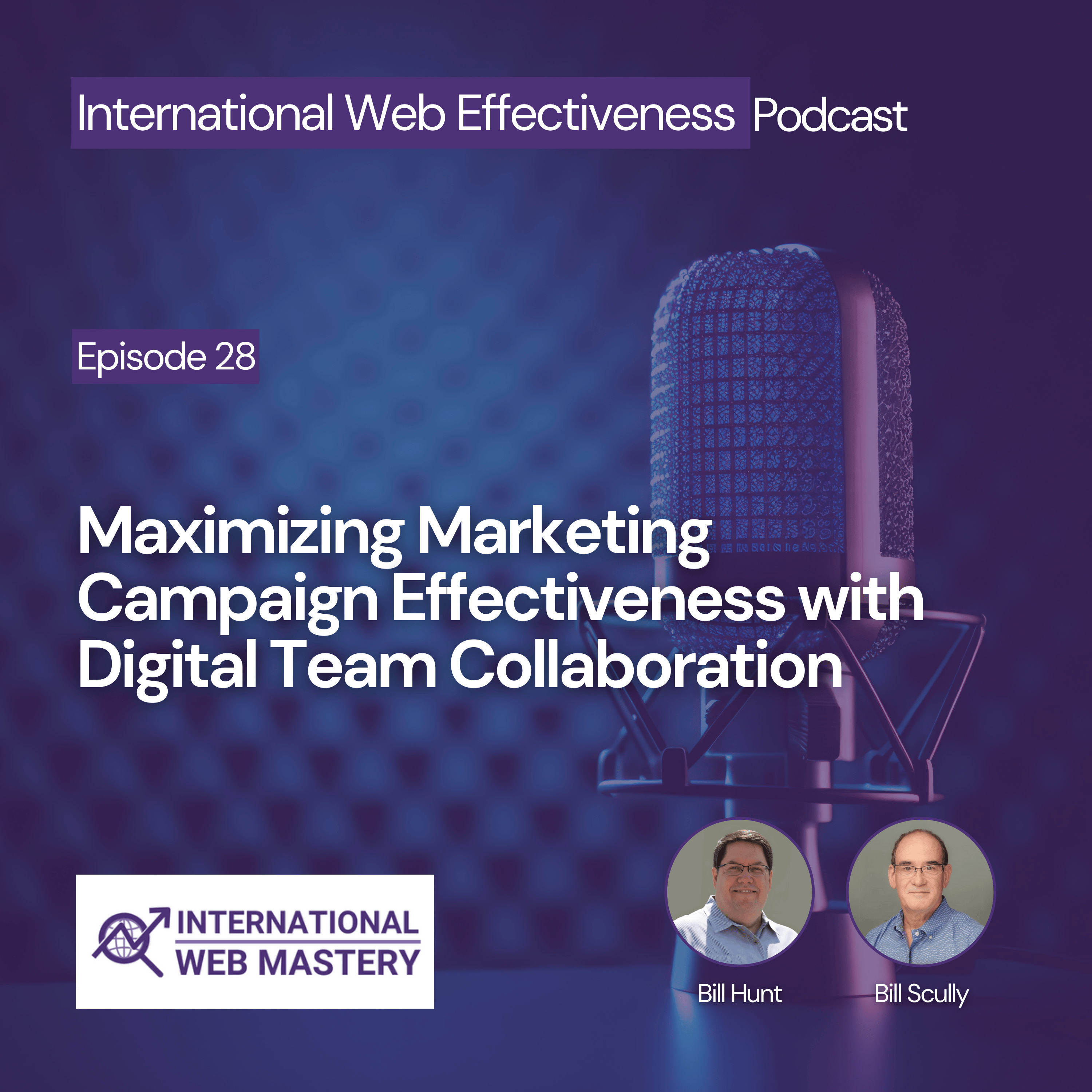 International Web Effectiveness Podcast