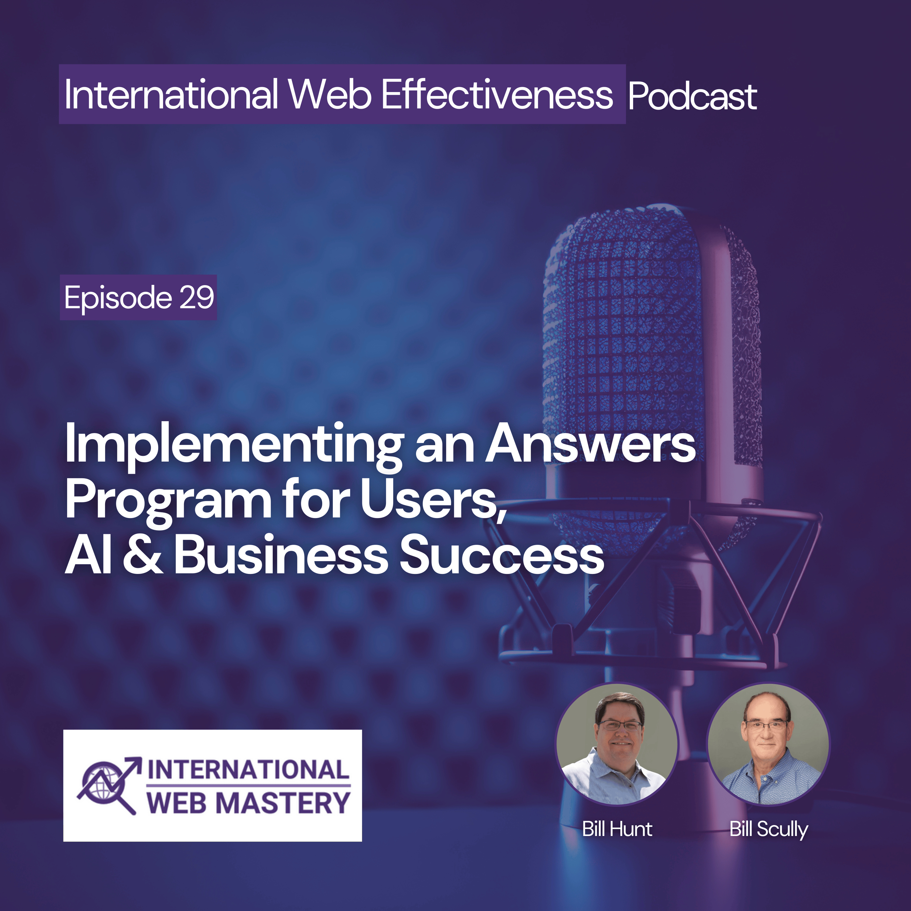 International Web Effectiveness Podcast
