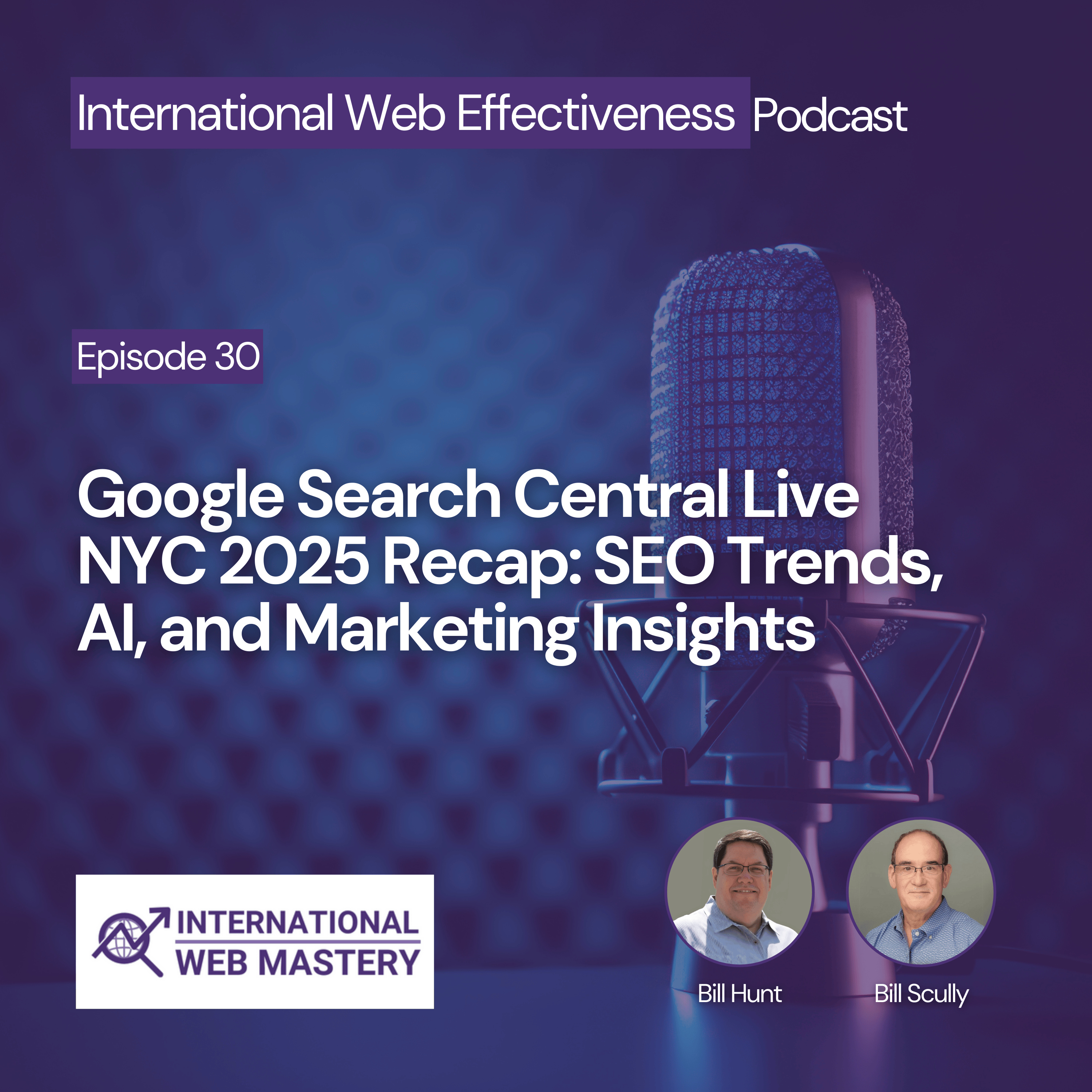 International Web Effectiveness Podcast
