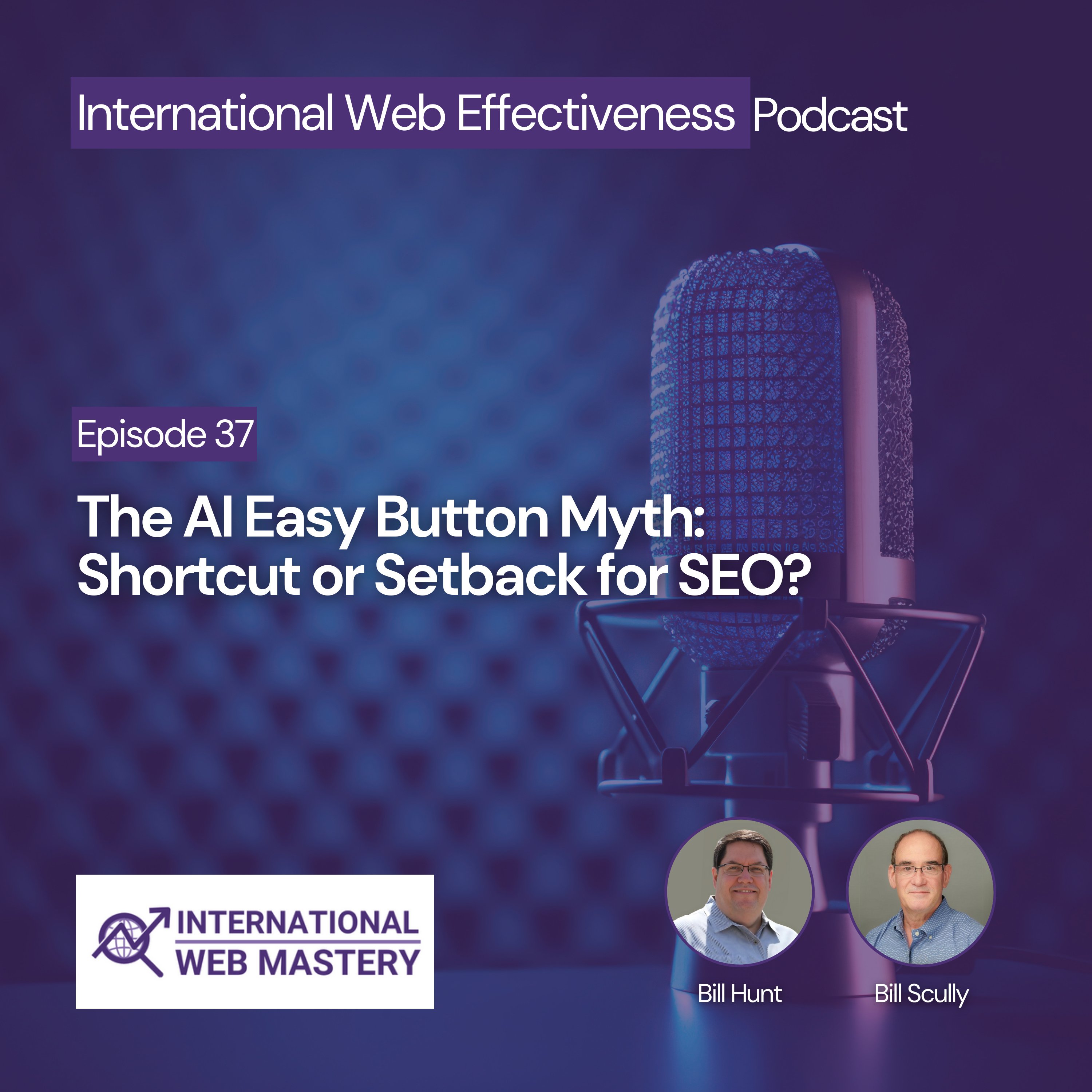 International Web Effectiveness Podcast