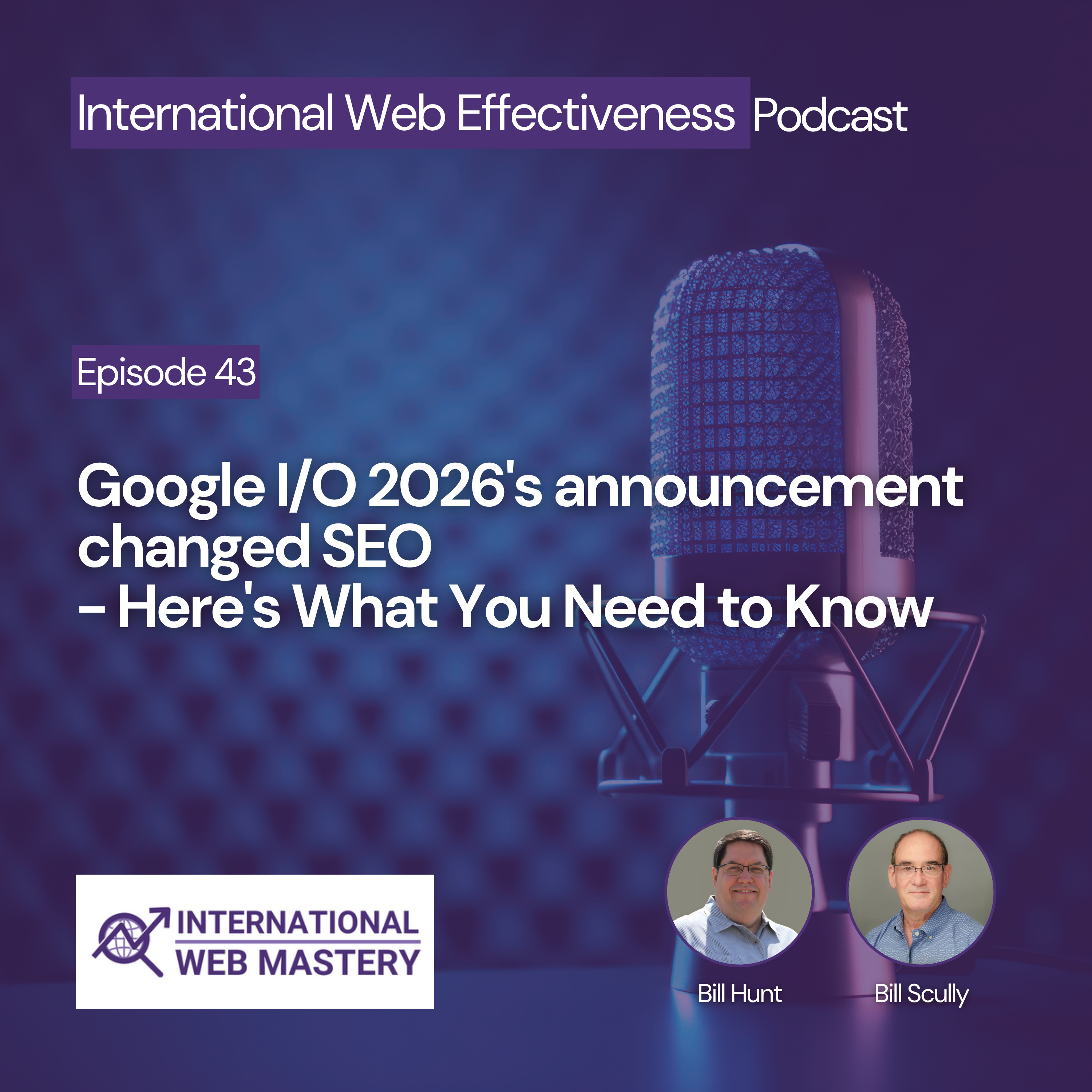 International Web Effectiveness Podcast
