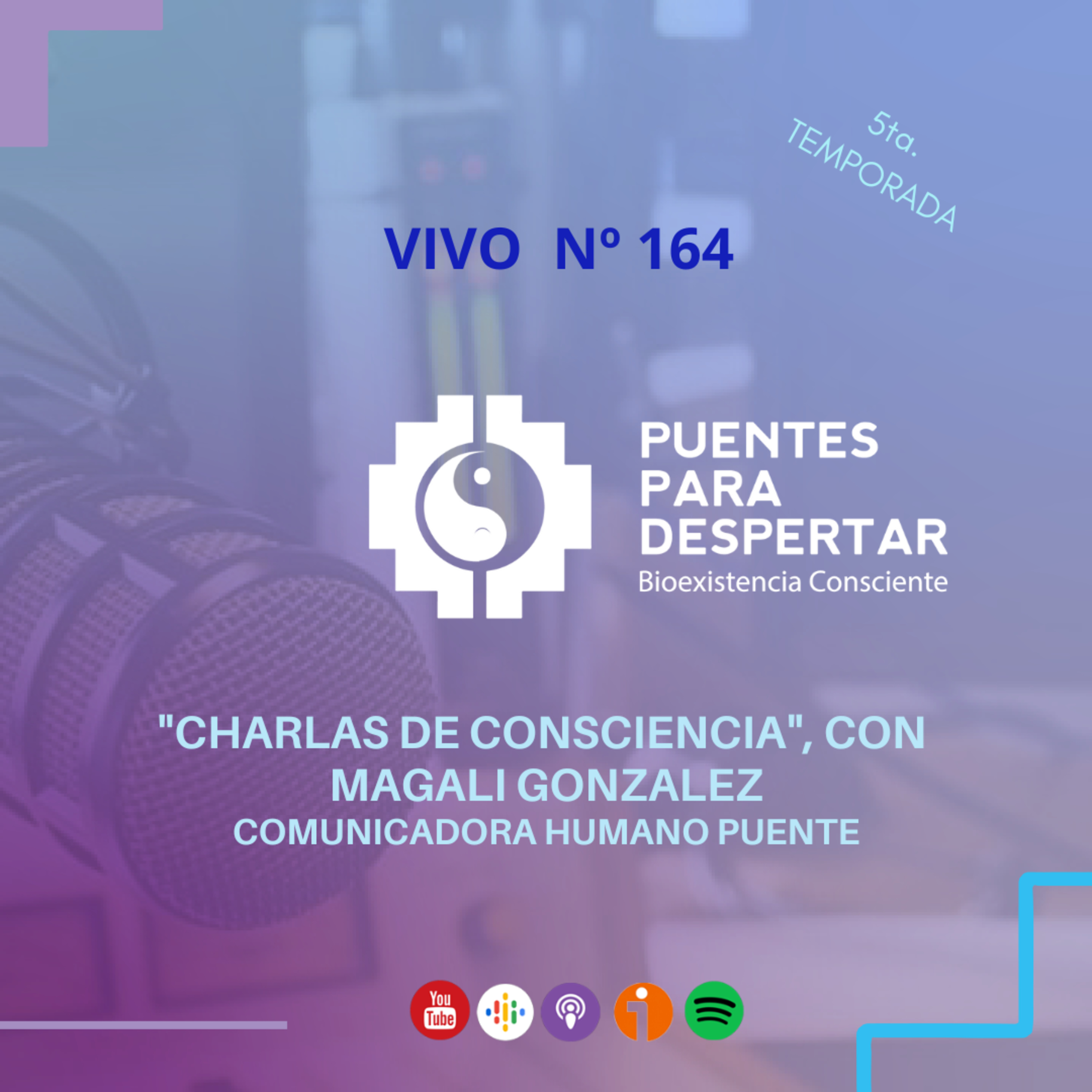 Programa N° 164 de Puentes para Despertar , " Conversaciones de consulta con Magalí González"  episode artwork