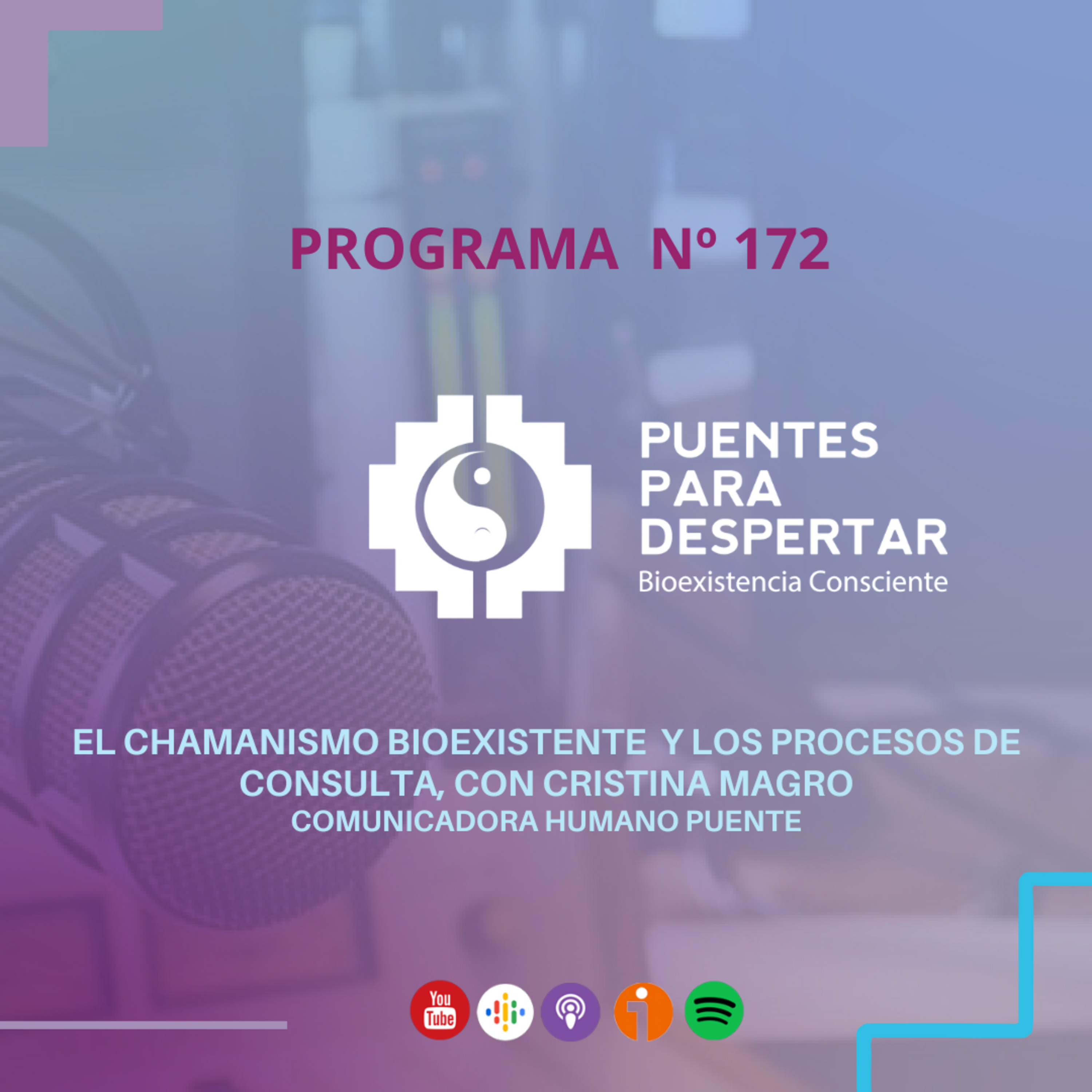 Programa N°172 de Puentes para Despertar "Procesos de Consulta con Cristina Magro"  episode artwork