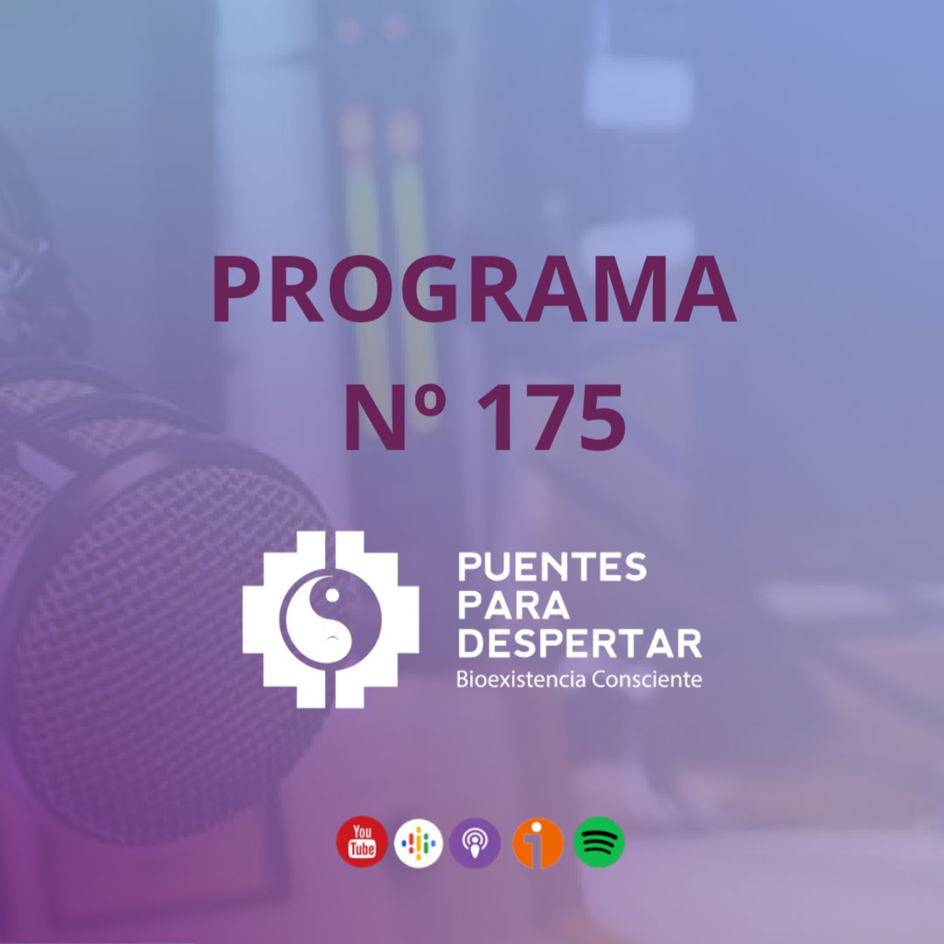 Programa N°175 de Puentes para Despertar, Los Hijos Nuestros Espejos con Laura Gentile episode artwork