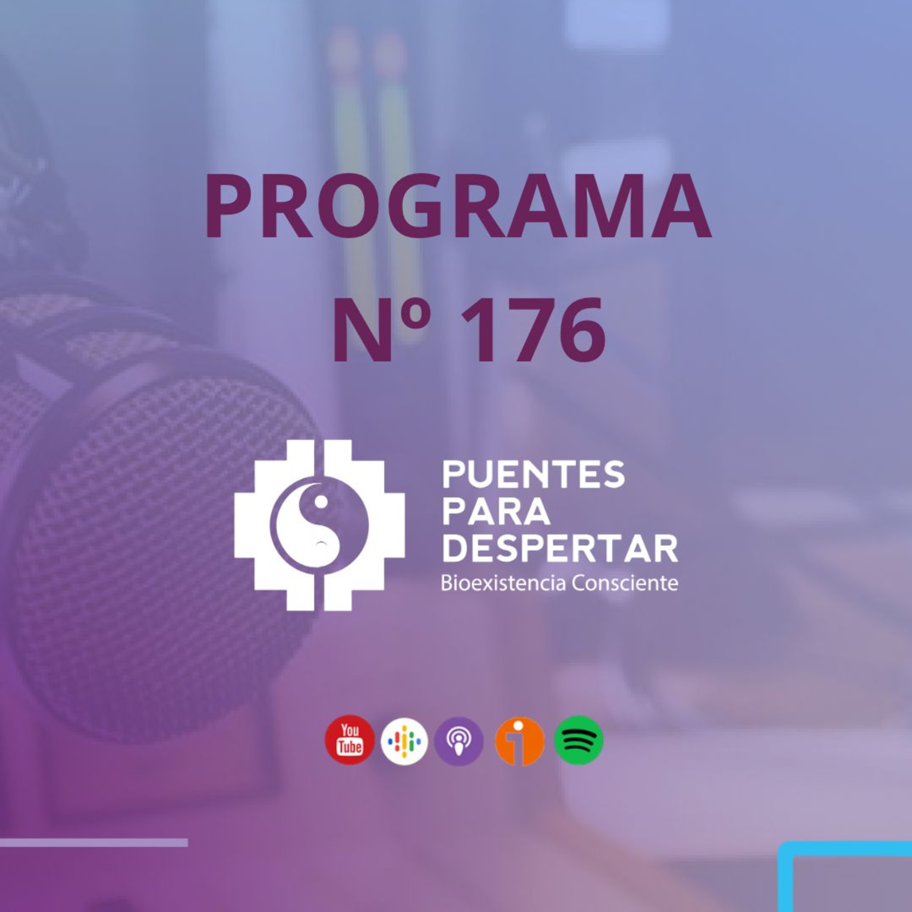 Programa N°176 de Puentes para Despertar "Sanar amándonos, con María Rita Raimundo"  episode artwork