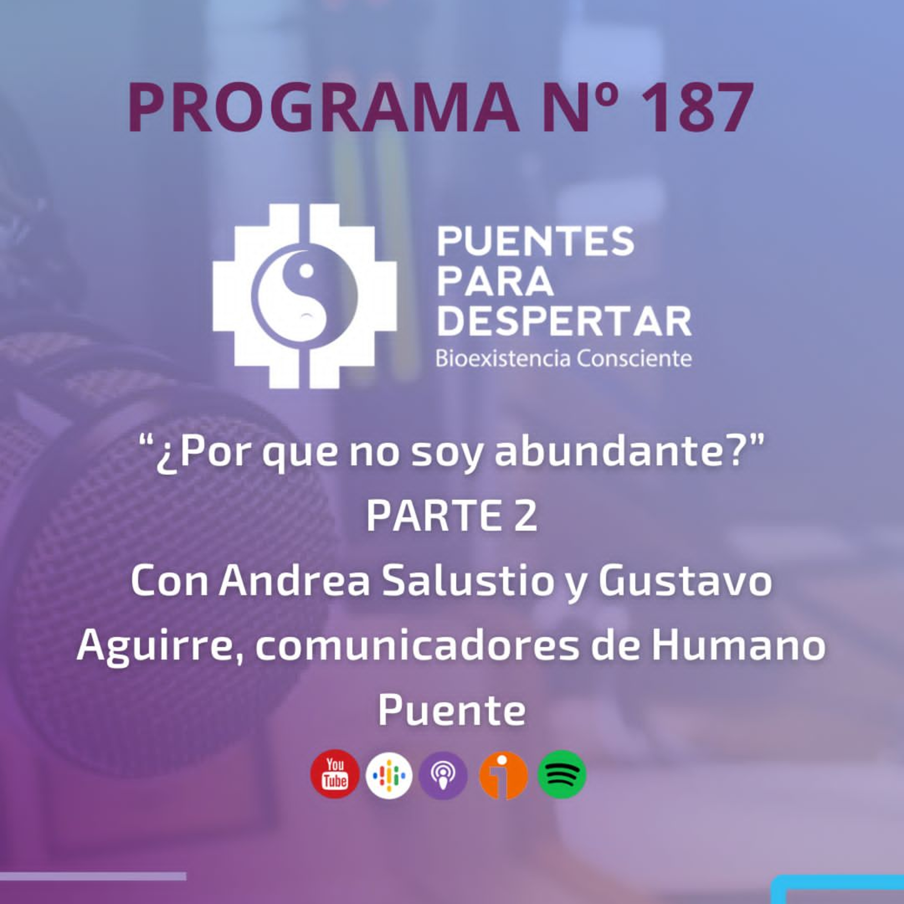 Programa N°187 de Puentes para Despertar,¨¿Porqué no soy abundante? 2da Parte episode artwork