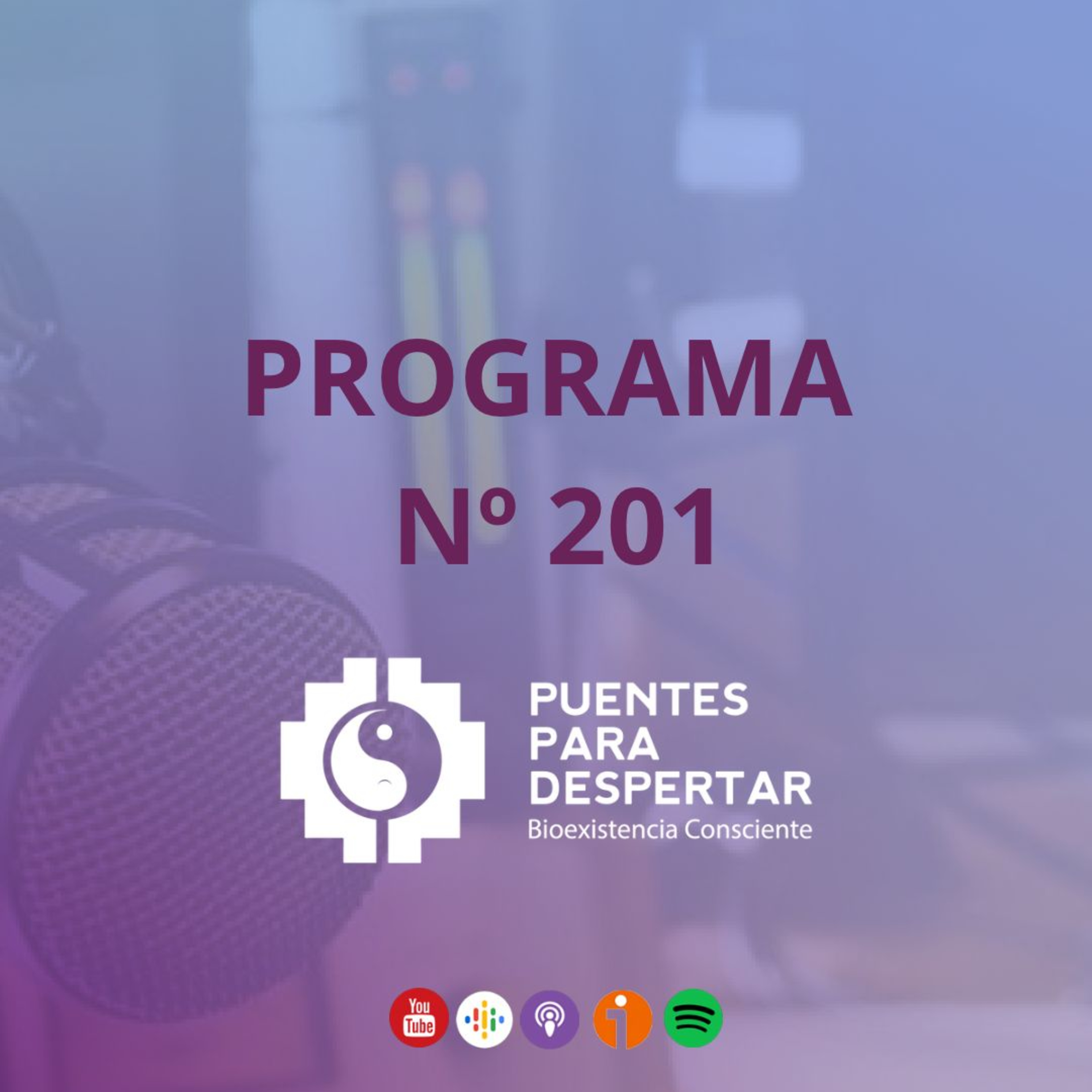 Programa N°201 de Puentes para Despertar, con Jimena D´Estefanis como invitada especial  episode artwork