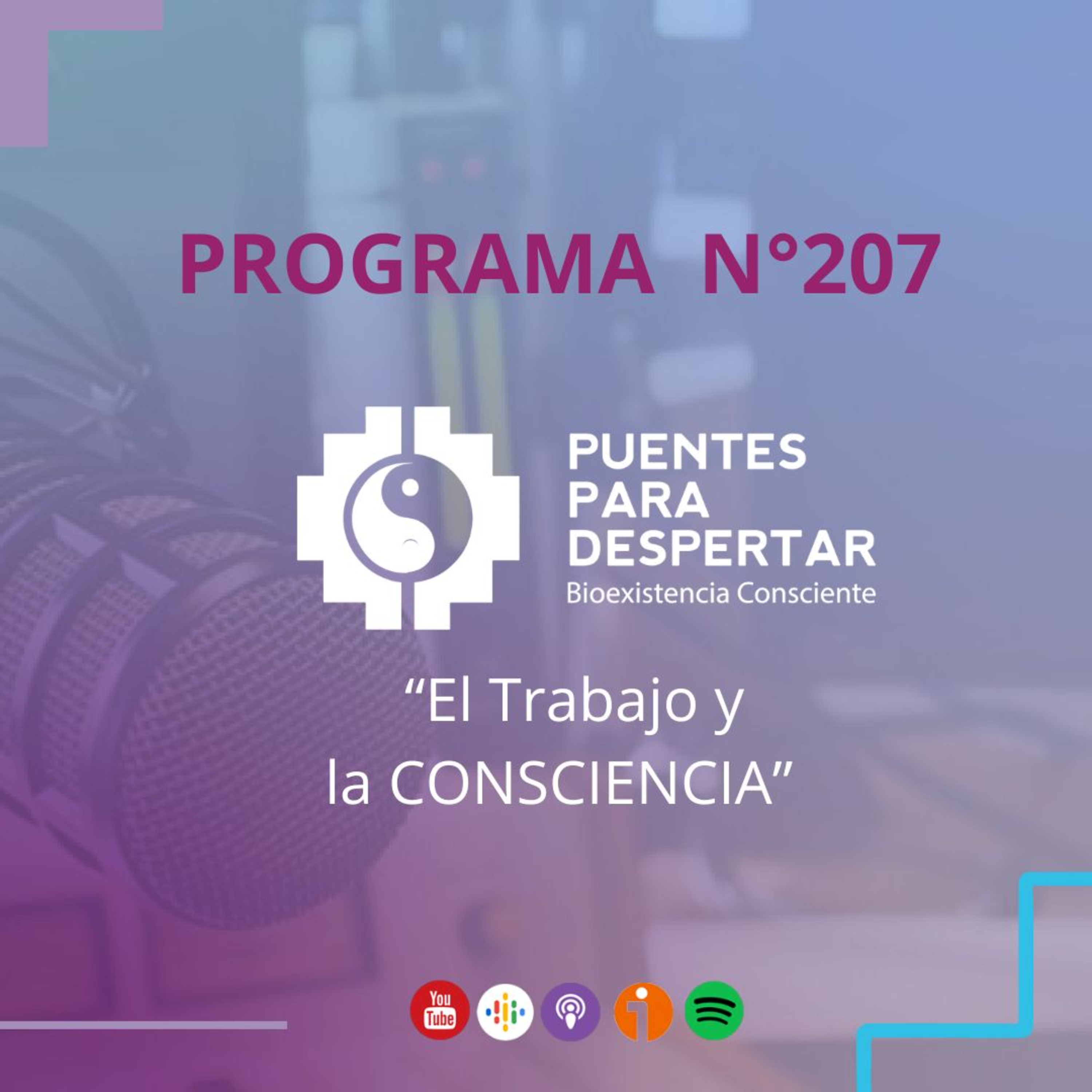 Programa N°207 de Puentes para Despertar, ¨El Trabajo y La Consciencia¨ episode artwork