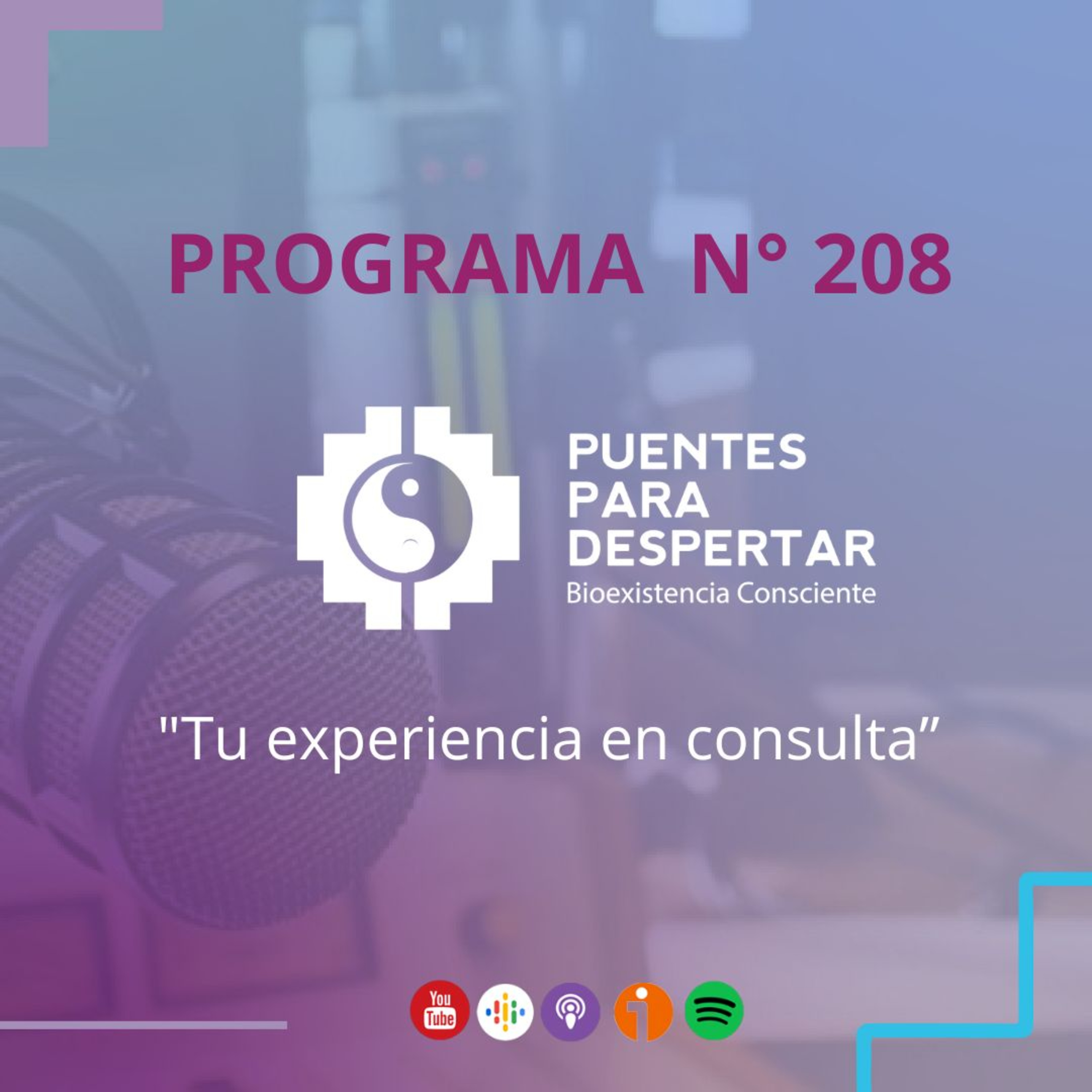 Programa N°208 de Puentes para Despertar, Historias de Consultantes, con Marcela Perrone. episode artwork