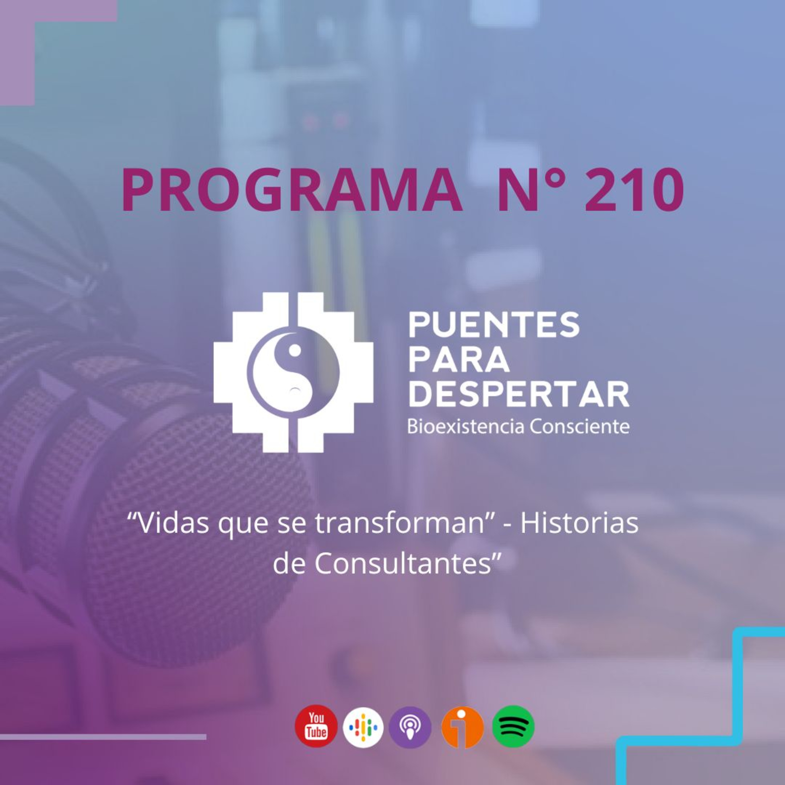 Programa N°210 de Puentes para Despertar, Vidas que se transforman, con Gilda Hegel. episode artwork