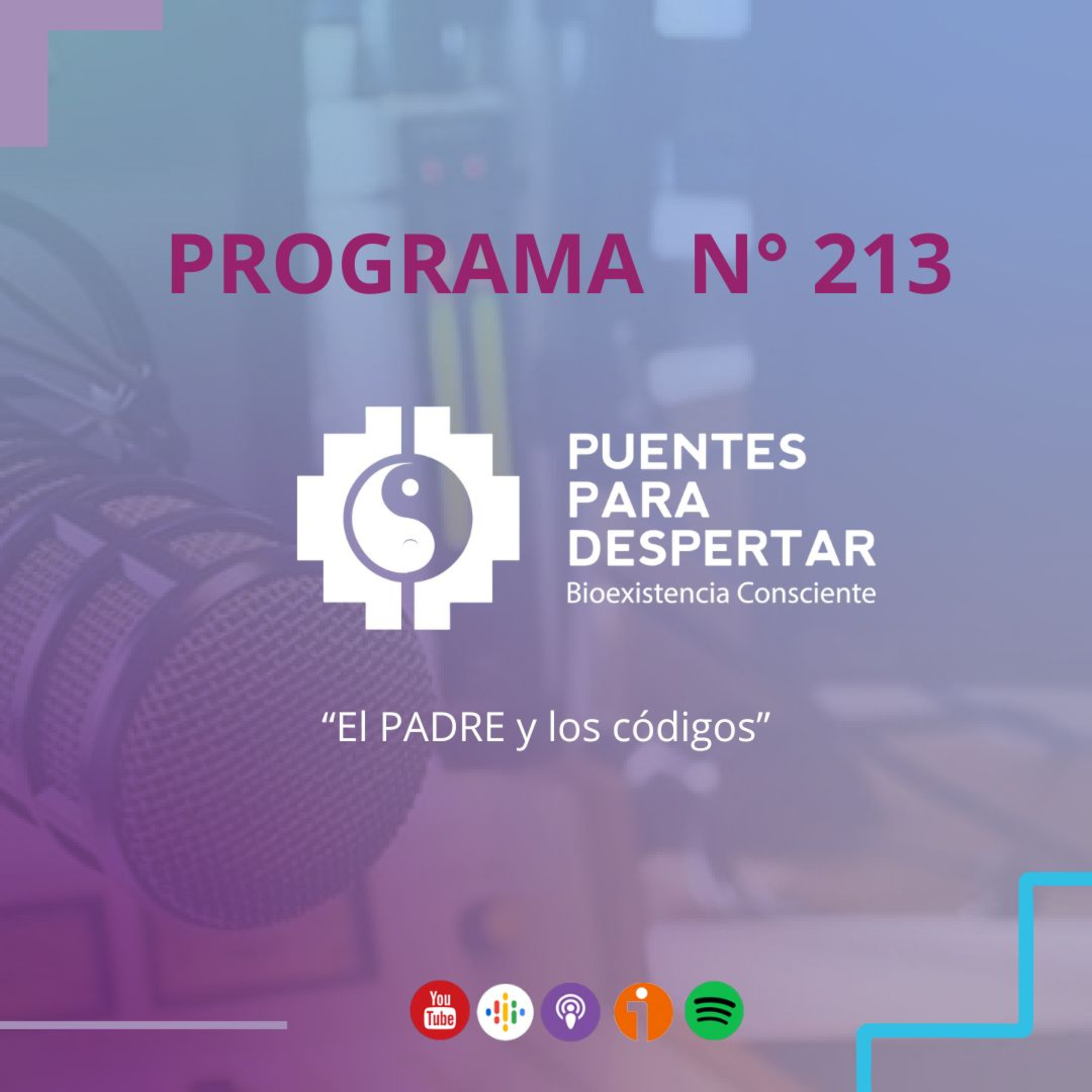 Programa N°213 de Puentes para Despertar, ¨El padre y los Códigos¨ episode artwork