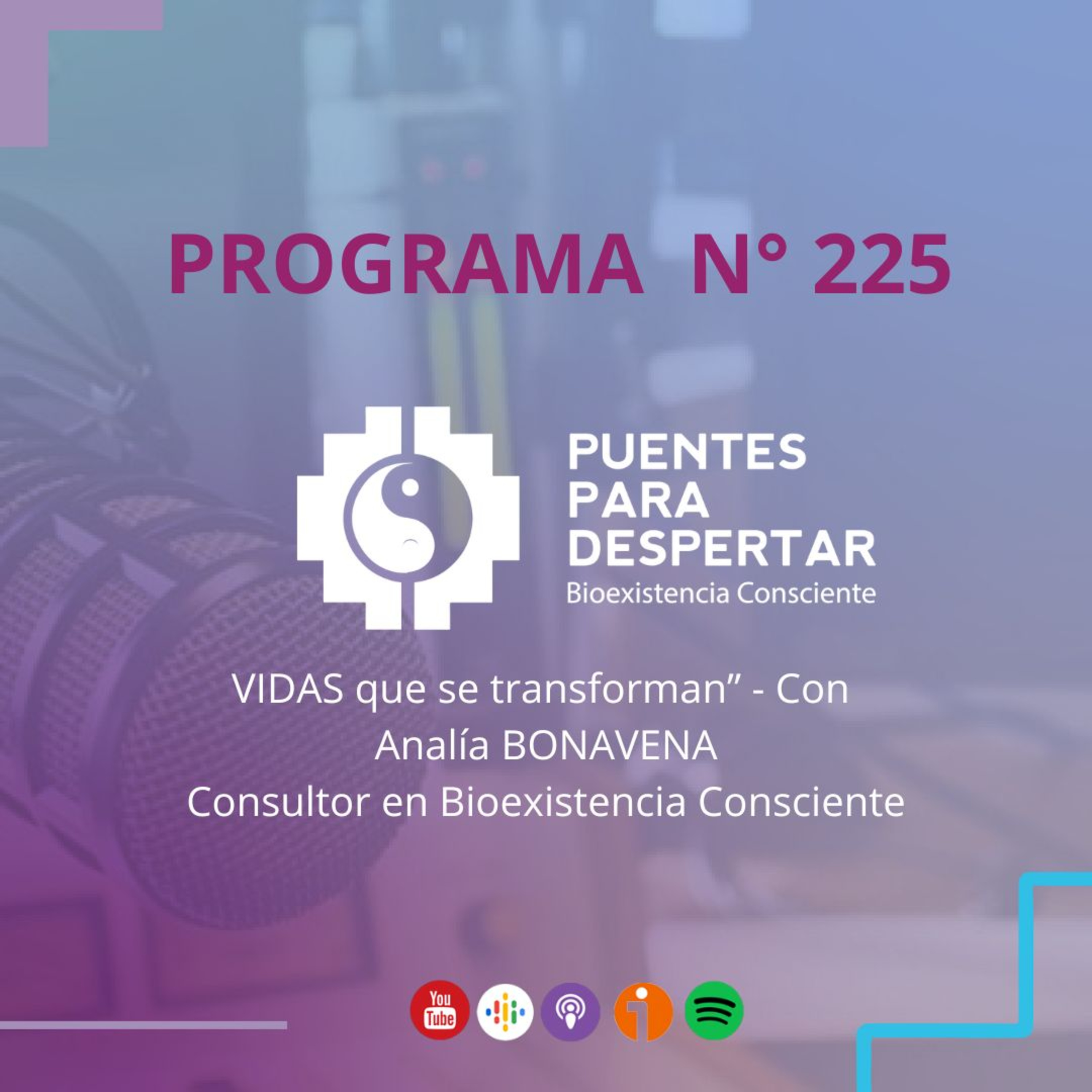 Programa N°225 de Puentes para Despertar, ¨Vidas que se transforman, con Analía Bonavena¨ episode artwork