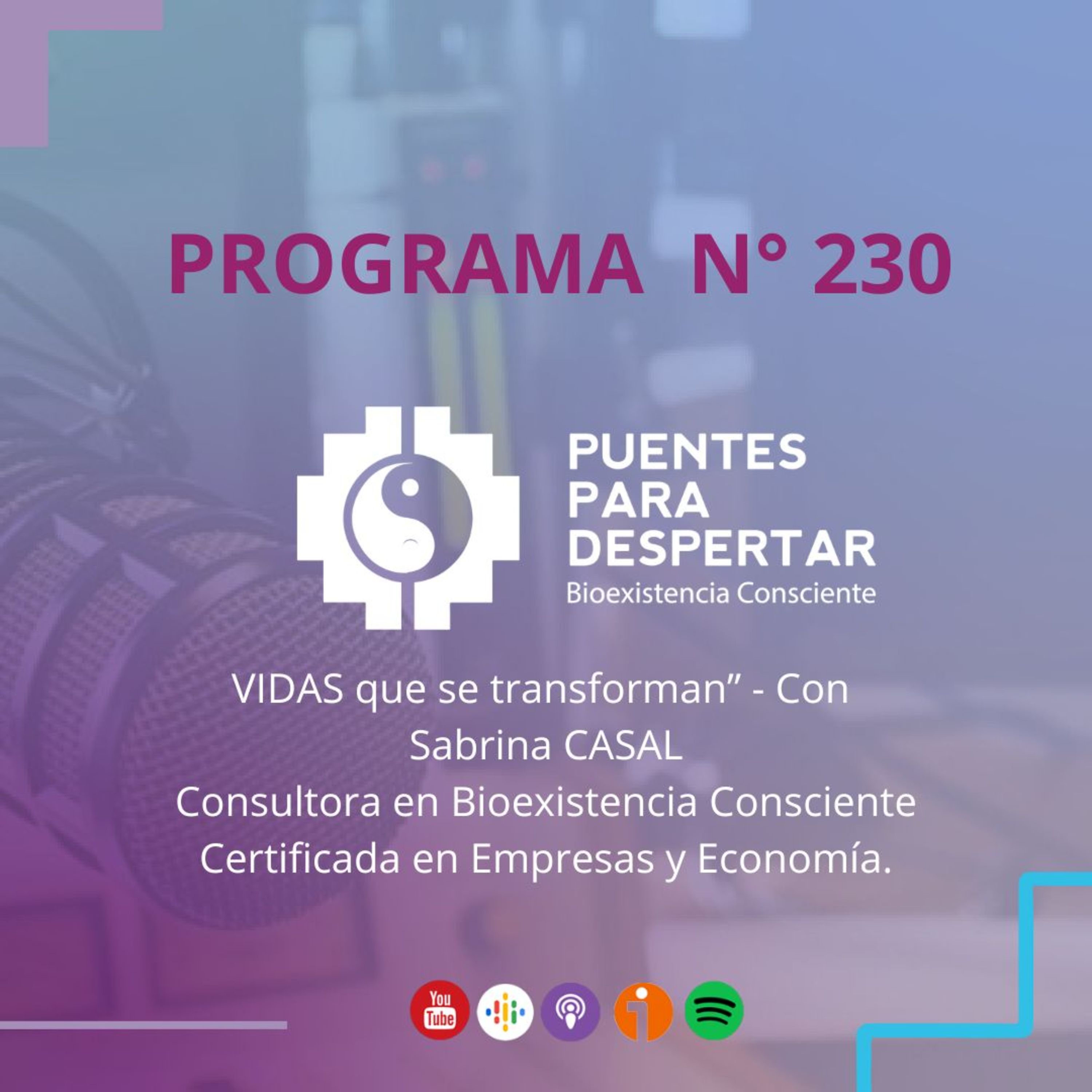 Programa N°230 de Puentes para Despertar, ¨Vidas que se Transforman con Sabrina Casal¨ episode artwork