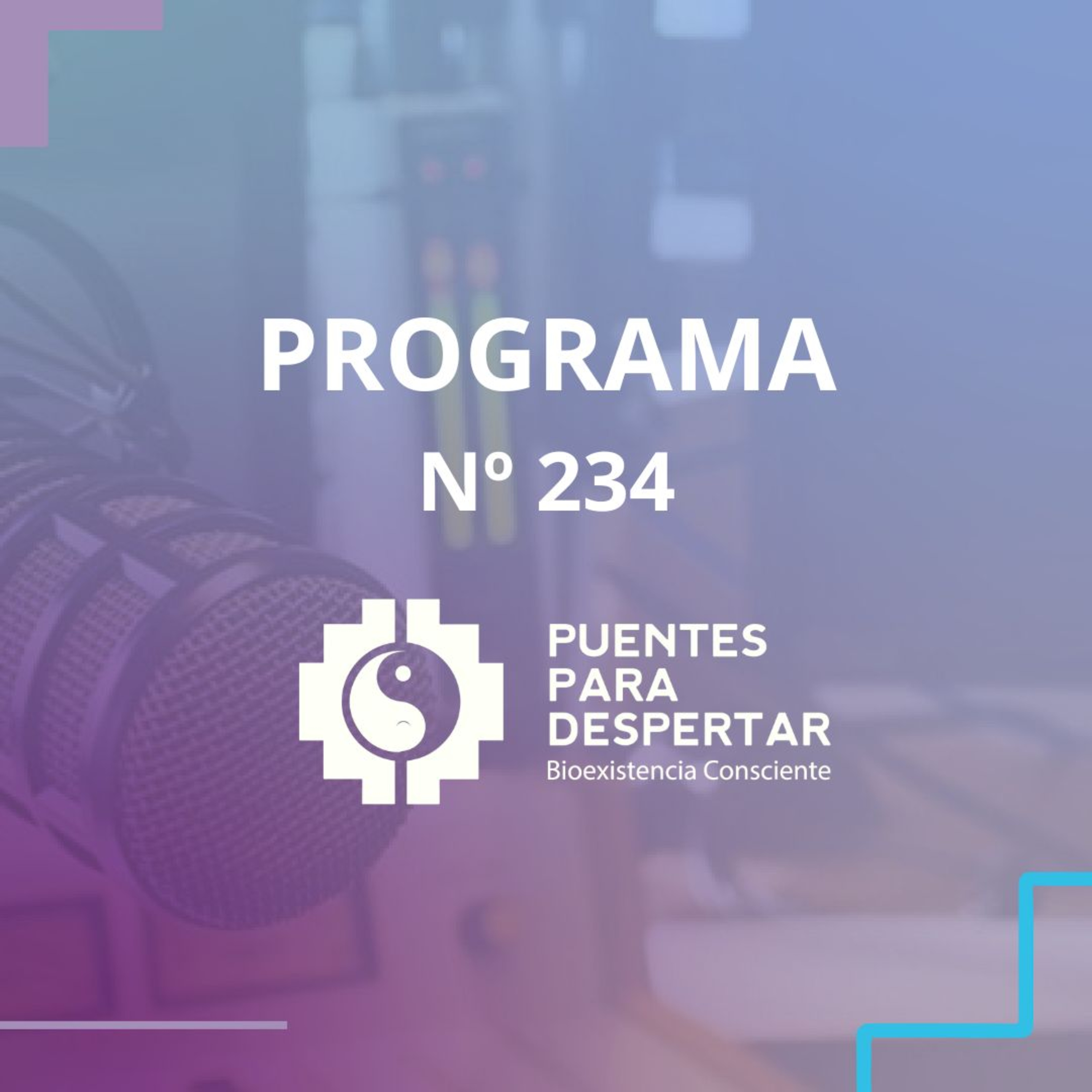 Puentes para Despertar
