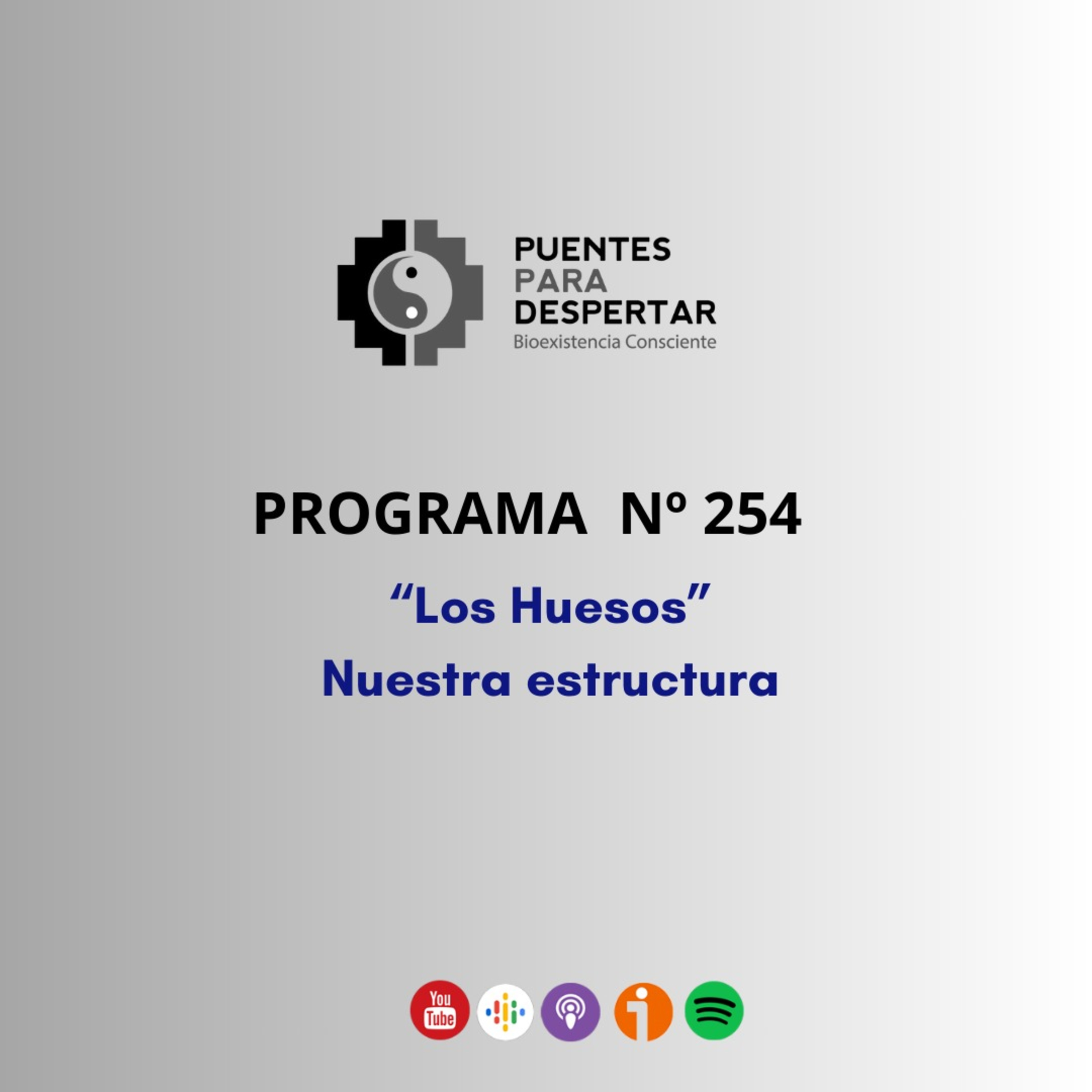 Programa Nro.254 de Puentes para Despertar, "Los Huesos, Nuestra Estructura I" episode artwork