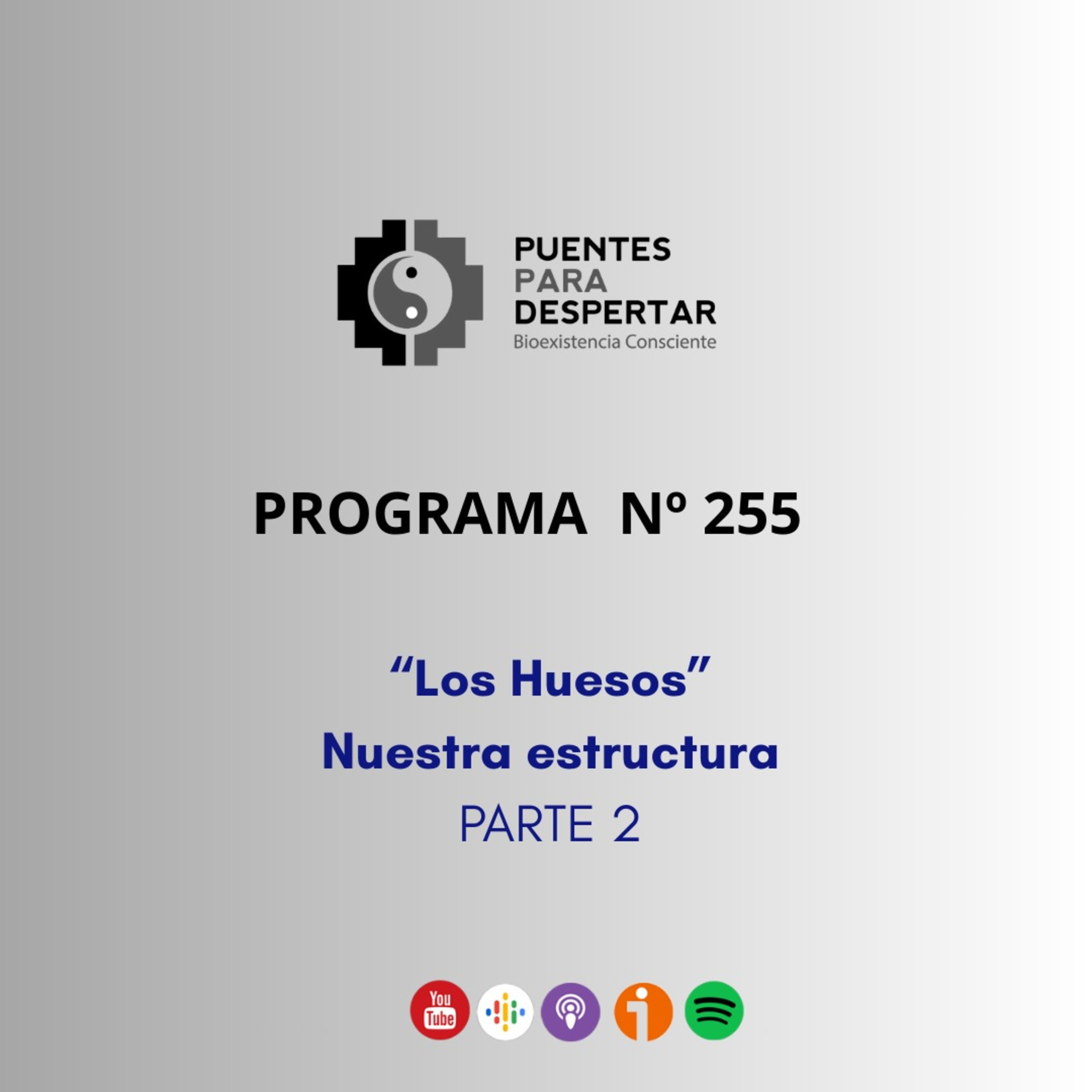 Programa N°255 de Puentes para Despertar, "Los Huesos, Nuestra Estructura Parte 2" episode artwork